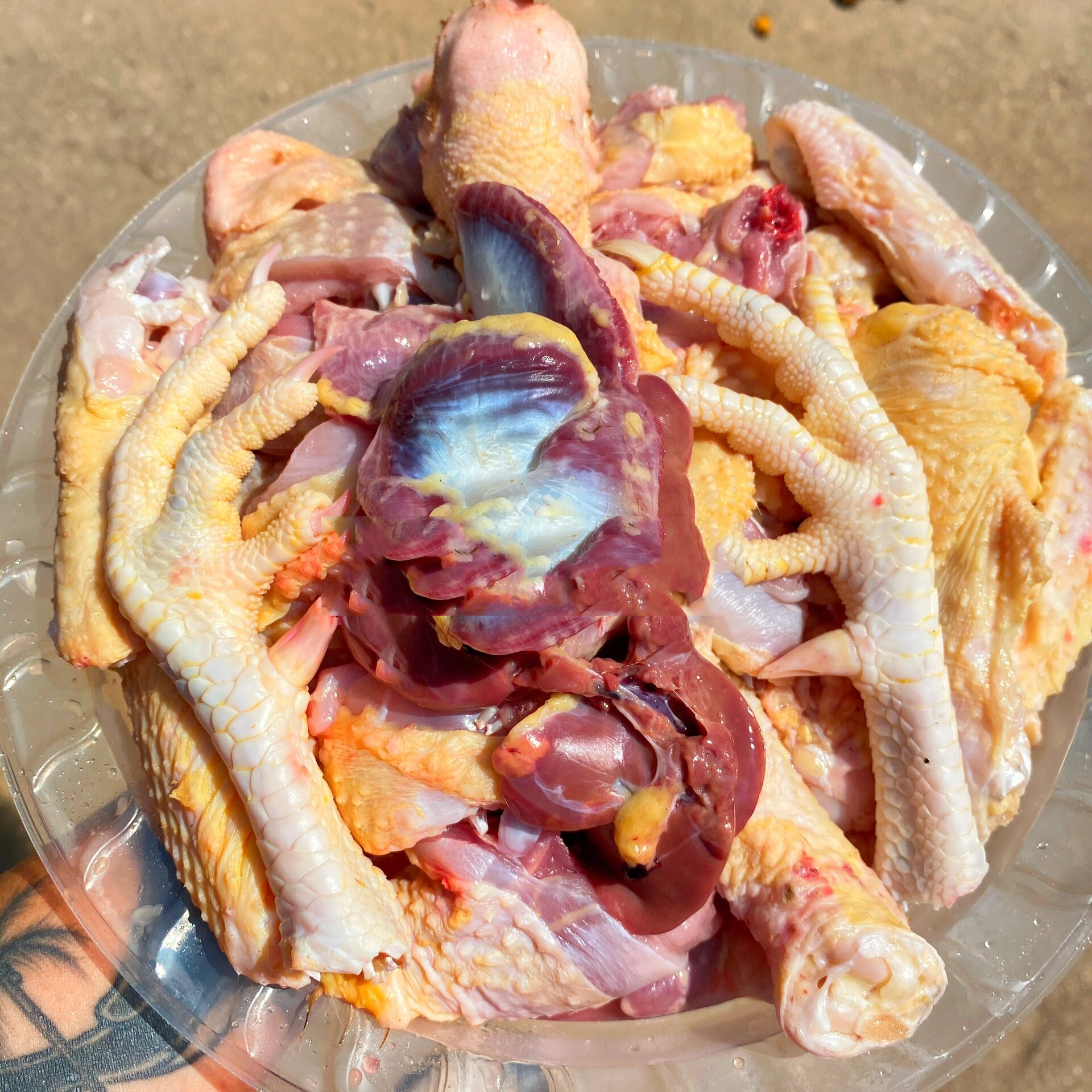 阉鸡虽然只有4斤左右,但是也好吃呀!