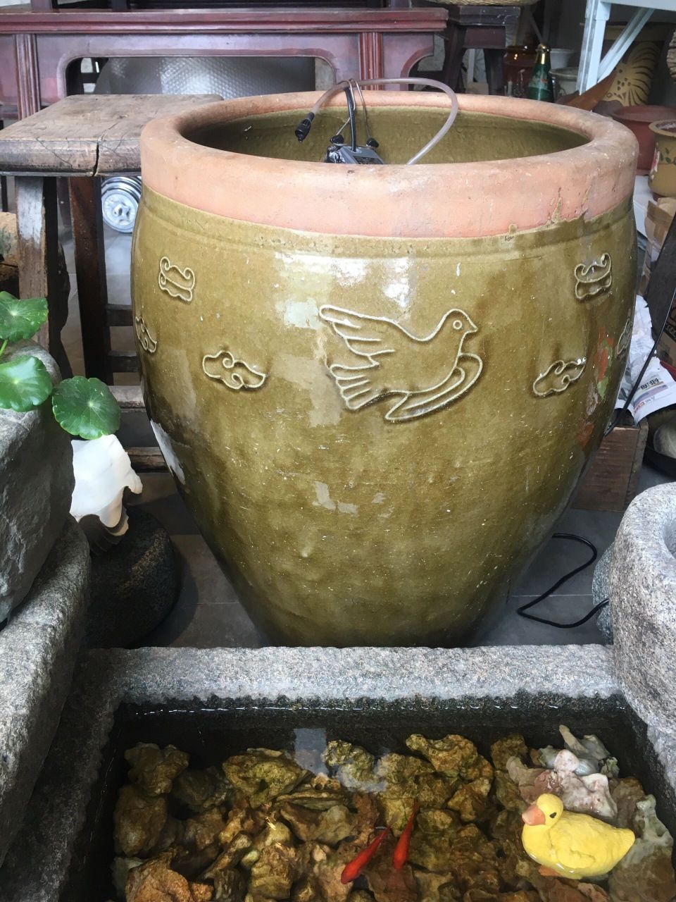 老水缸 大鱼缸 古法养鱼 莲花缸