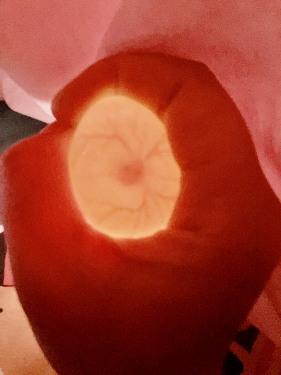 上山捡的山鸡蛋孵化的第14天 照片是前几天拍的 现在小鸡开始在里边