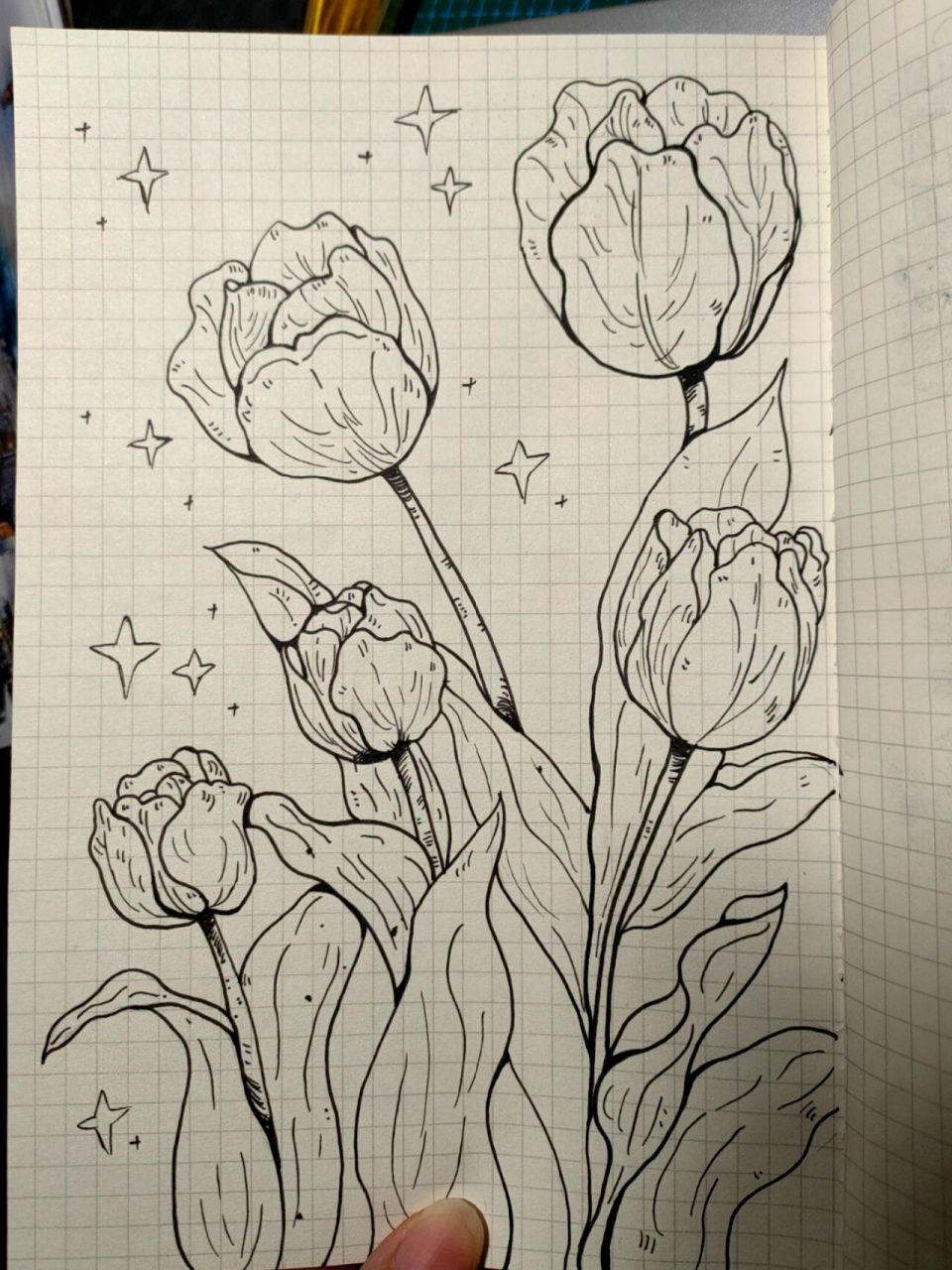 郁金香简笔画 附过程 画的投入忘记拍过程了,简单说一下   1 确定好