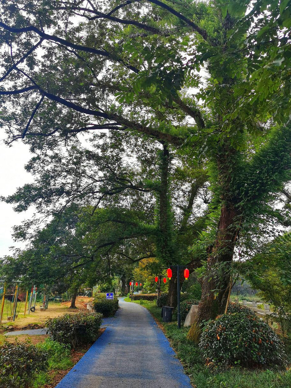 周末游 | 闽北美丽乡村——建瓯市小松镇湖头 湖头村位于建瓯市小松镇