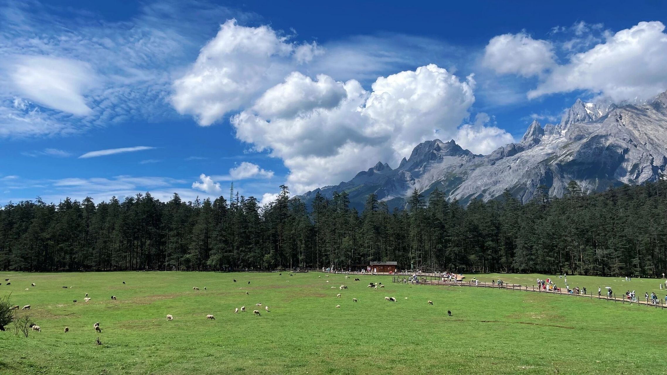 17云杉坪蓝月谷 全程丝滑不排队!