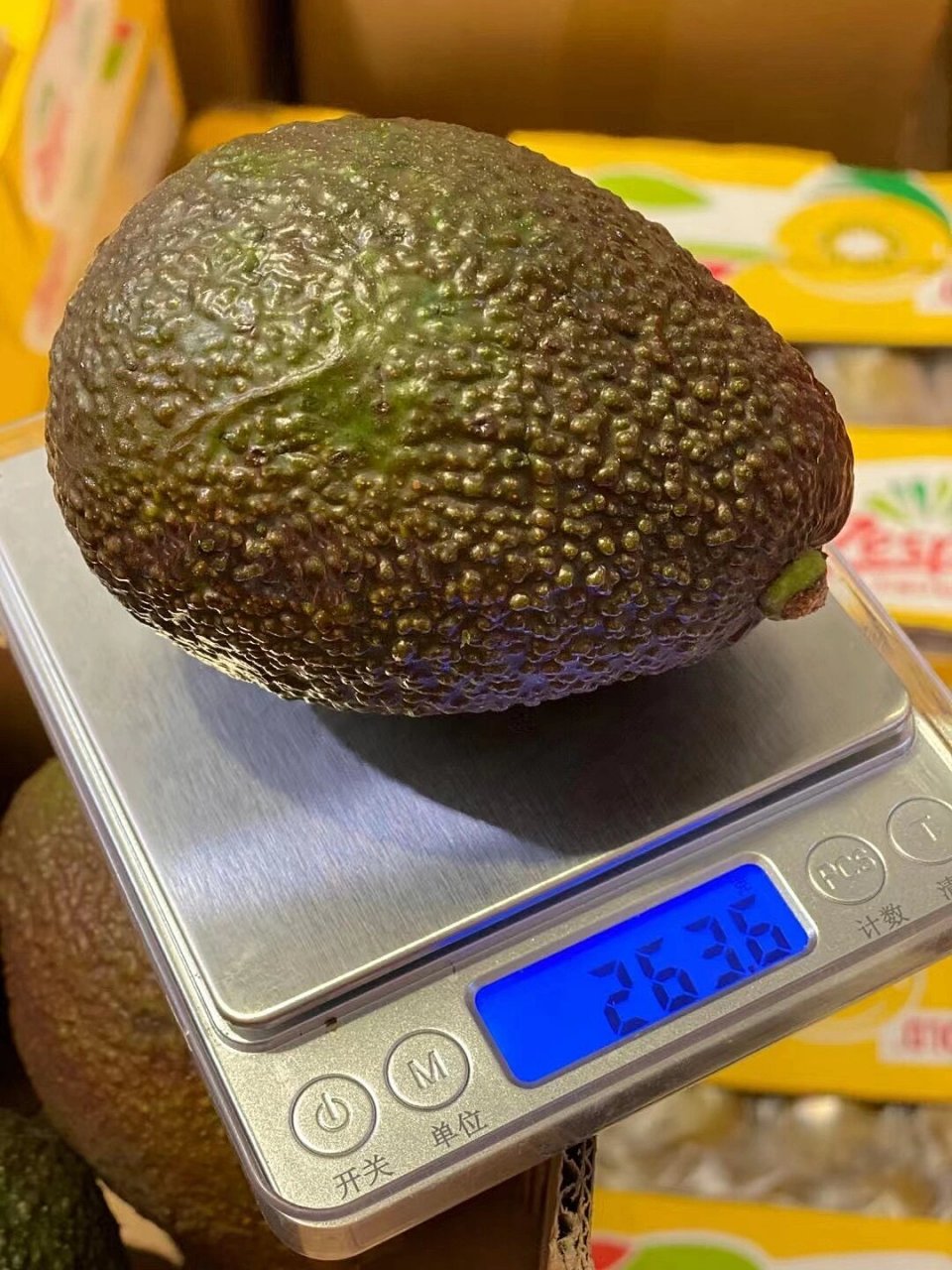 教给大家如何分辨牛油果的好坏 图11566:刚切的状态 图21566