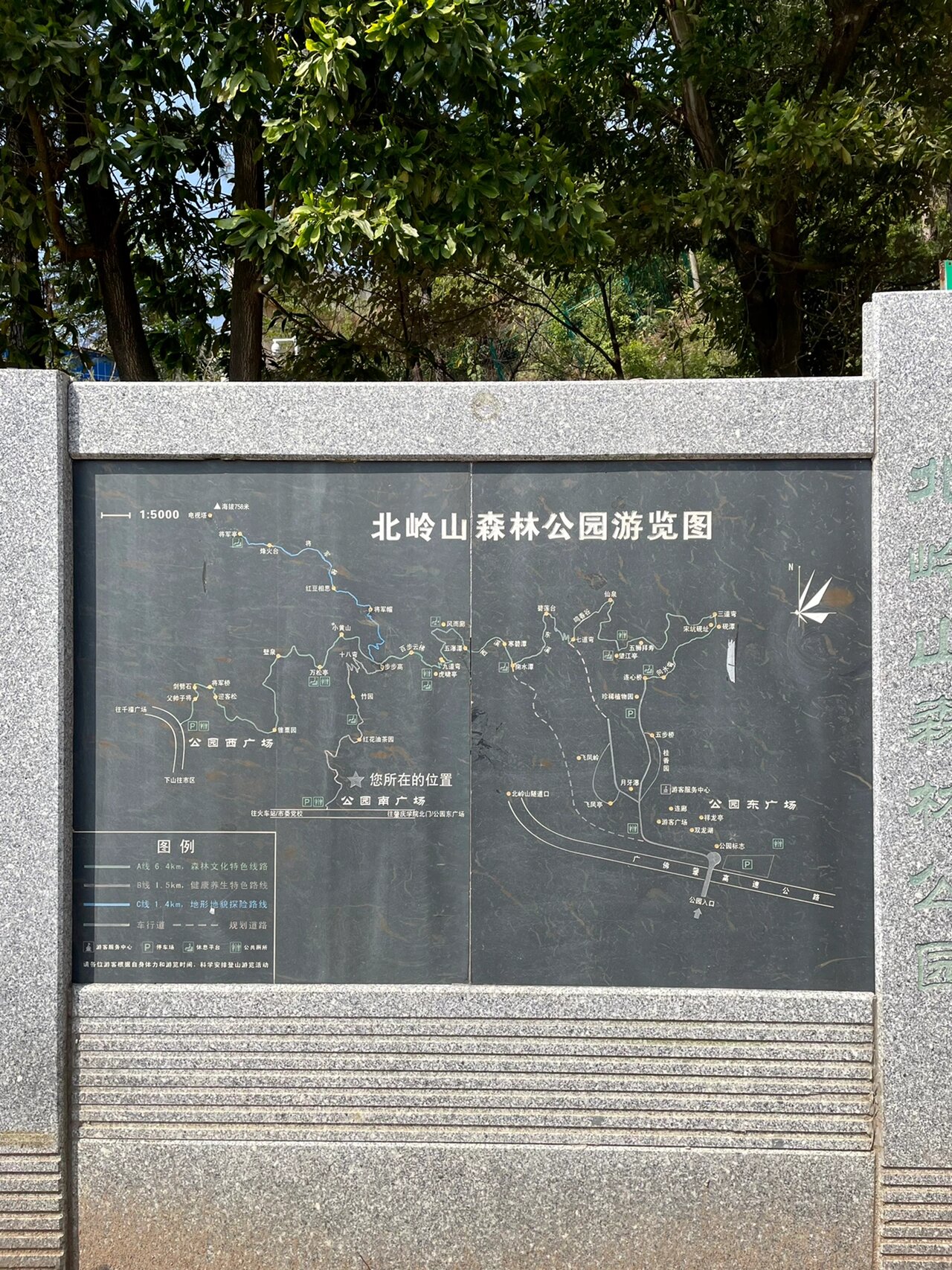 我的徒步日记丨肇庆北岭山森林公园9898 9898肇庆北岭山森林