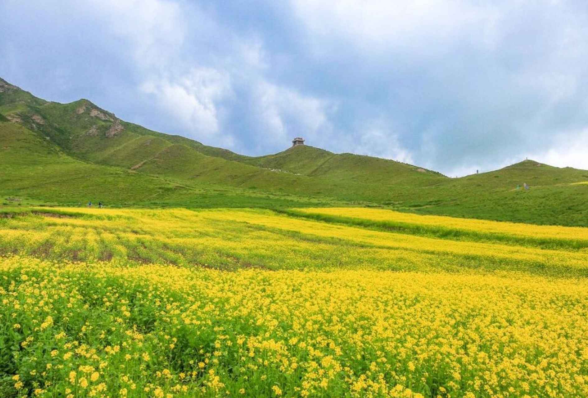 民乐县景点 民乐县 圆通寺塔 圣天寺旅游景区 扁都口生态休闲旅游区