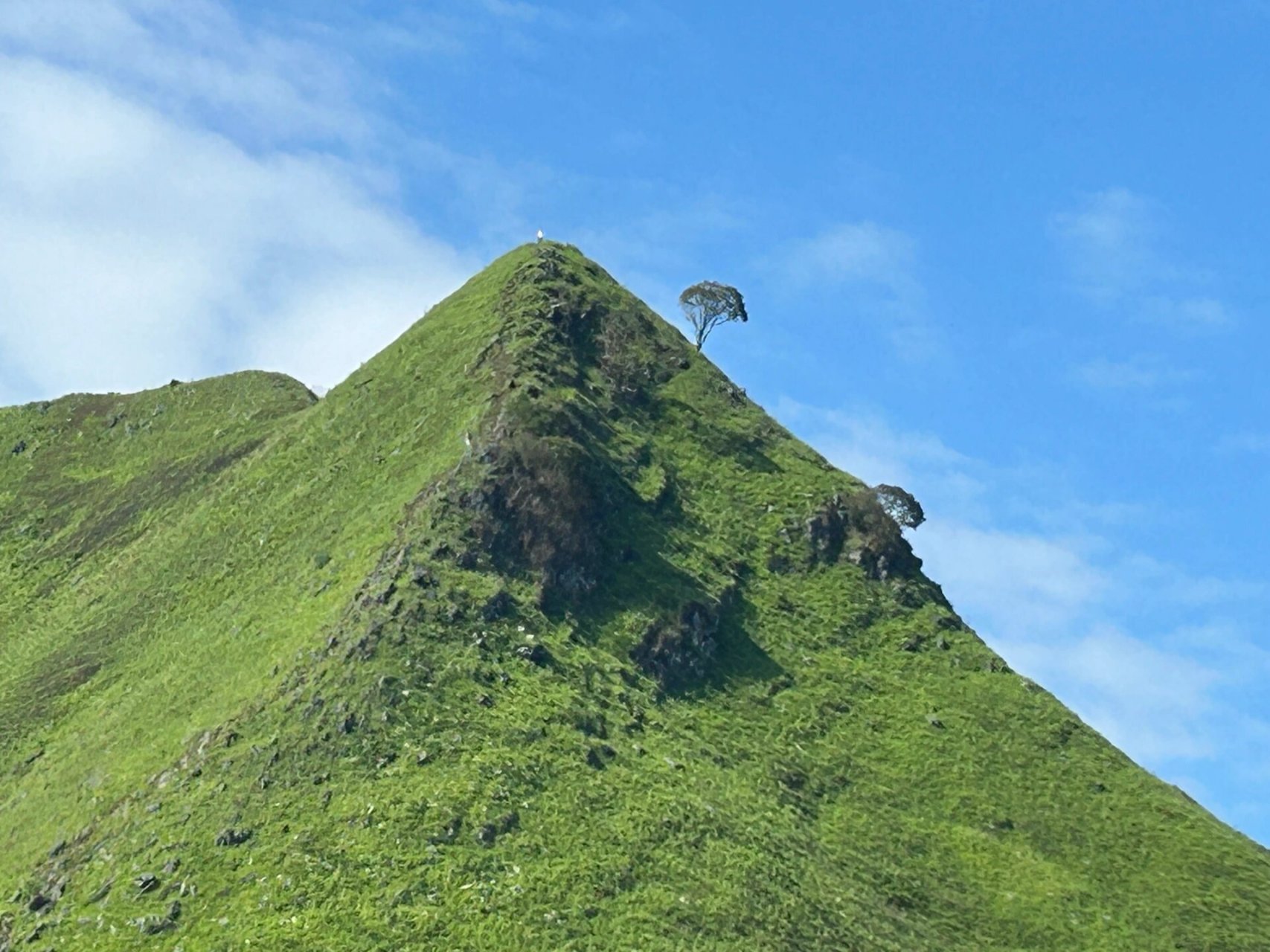 天等宁干乡剑龙山 踏遍青山人未老,风景这边独好.