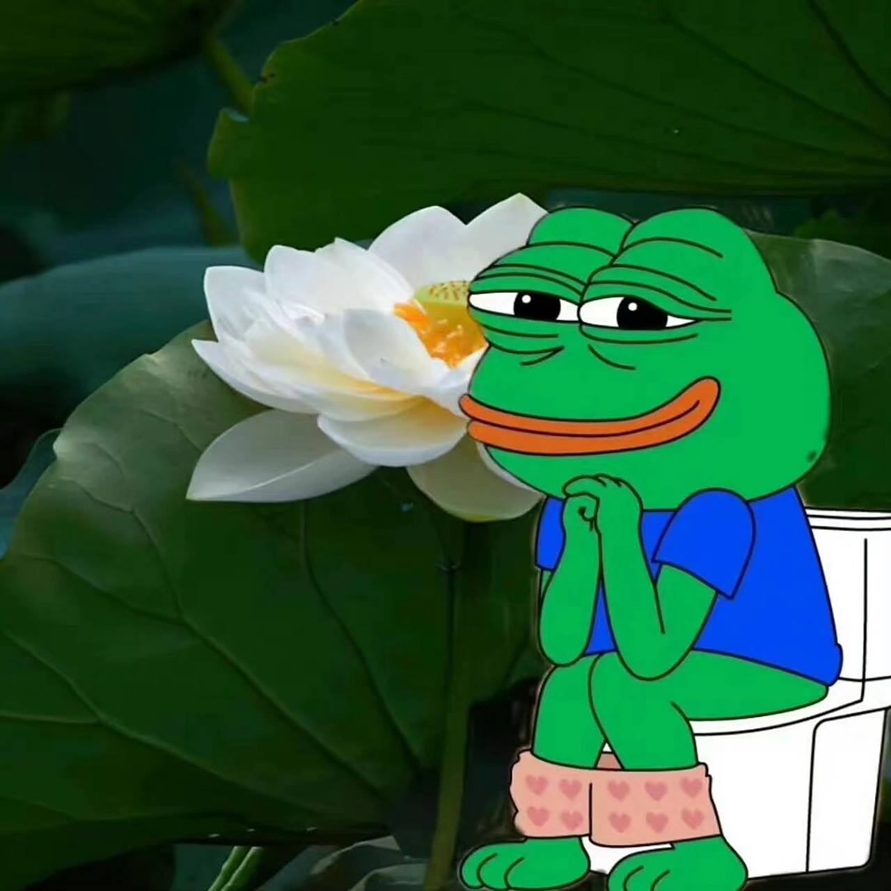 七夕孤寡青蛙90头像   七夕孤寡青蛙90头像