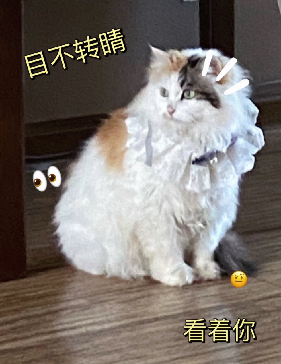 霸王茶姬真有你的啊 被完美拿捏了