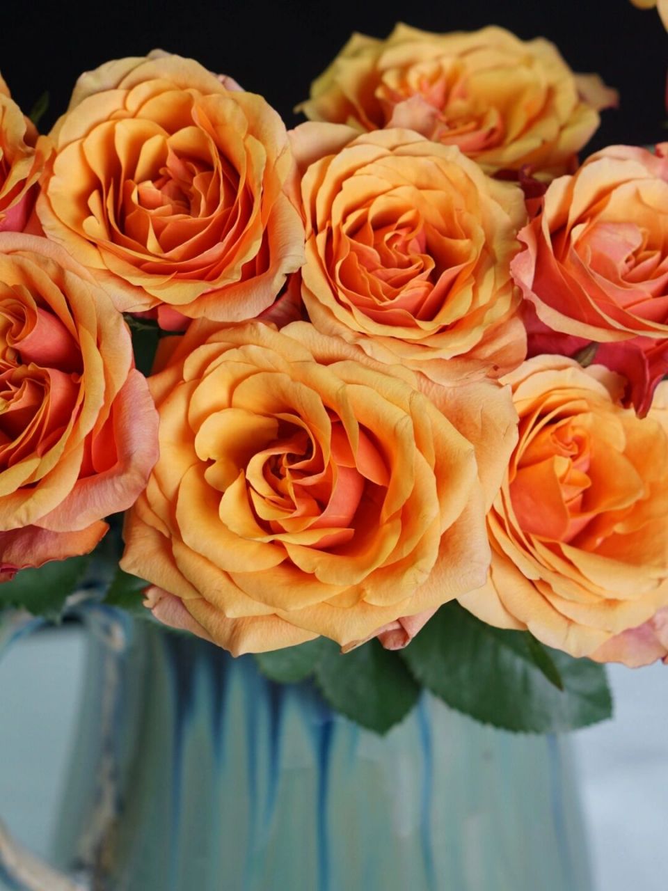 热情西班牙(伊思班纳)|易开的火焰 热情西班牙玫瑰 又称伊思班纳玫瑰