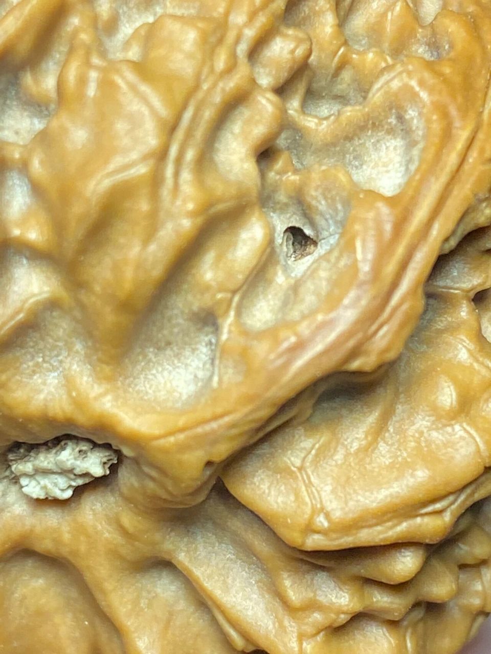 『文玩核桃』之虫眼篇!