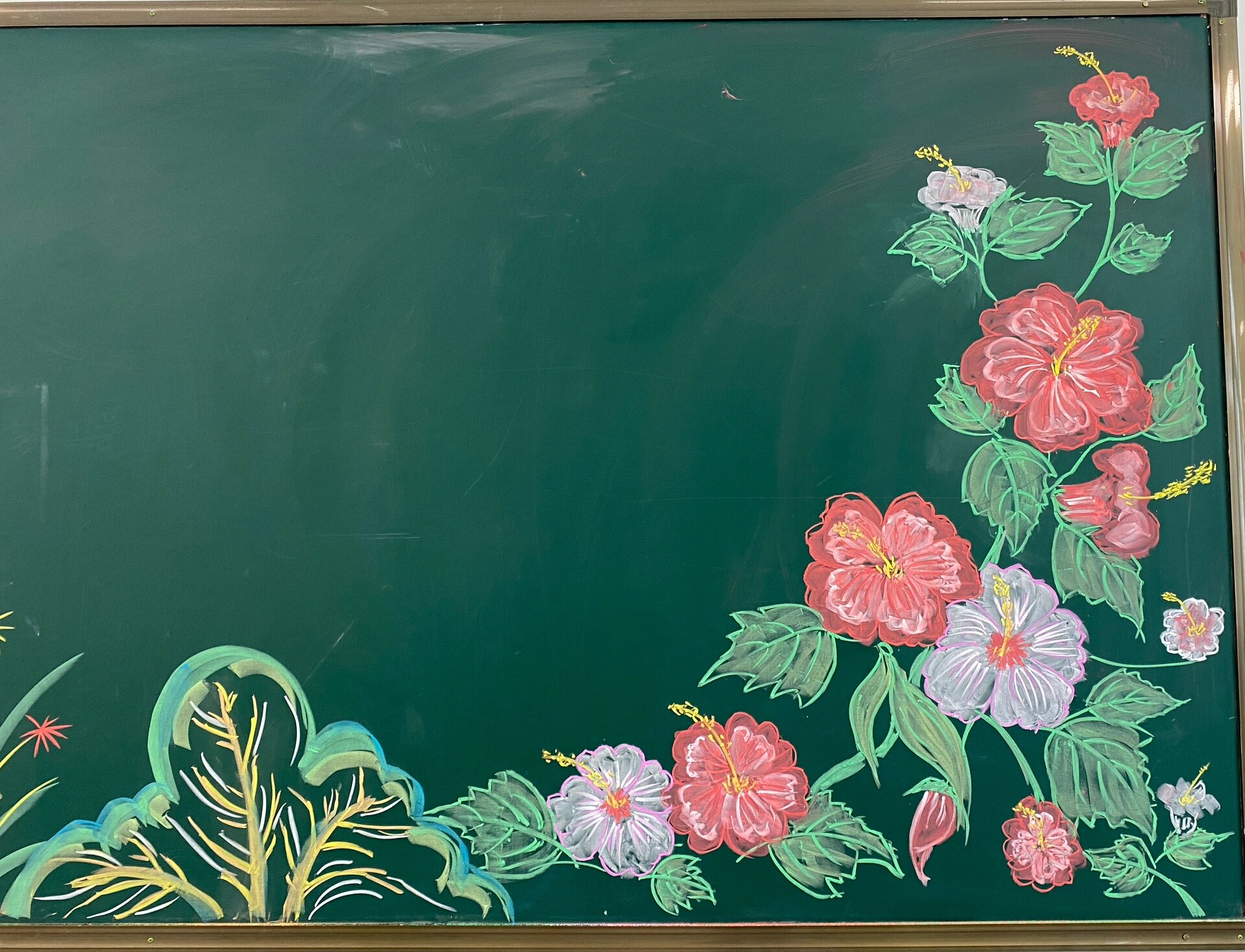 芙蓉牡丹花粉笔画98开学季黑板报  r