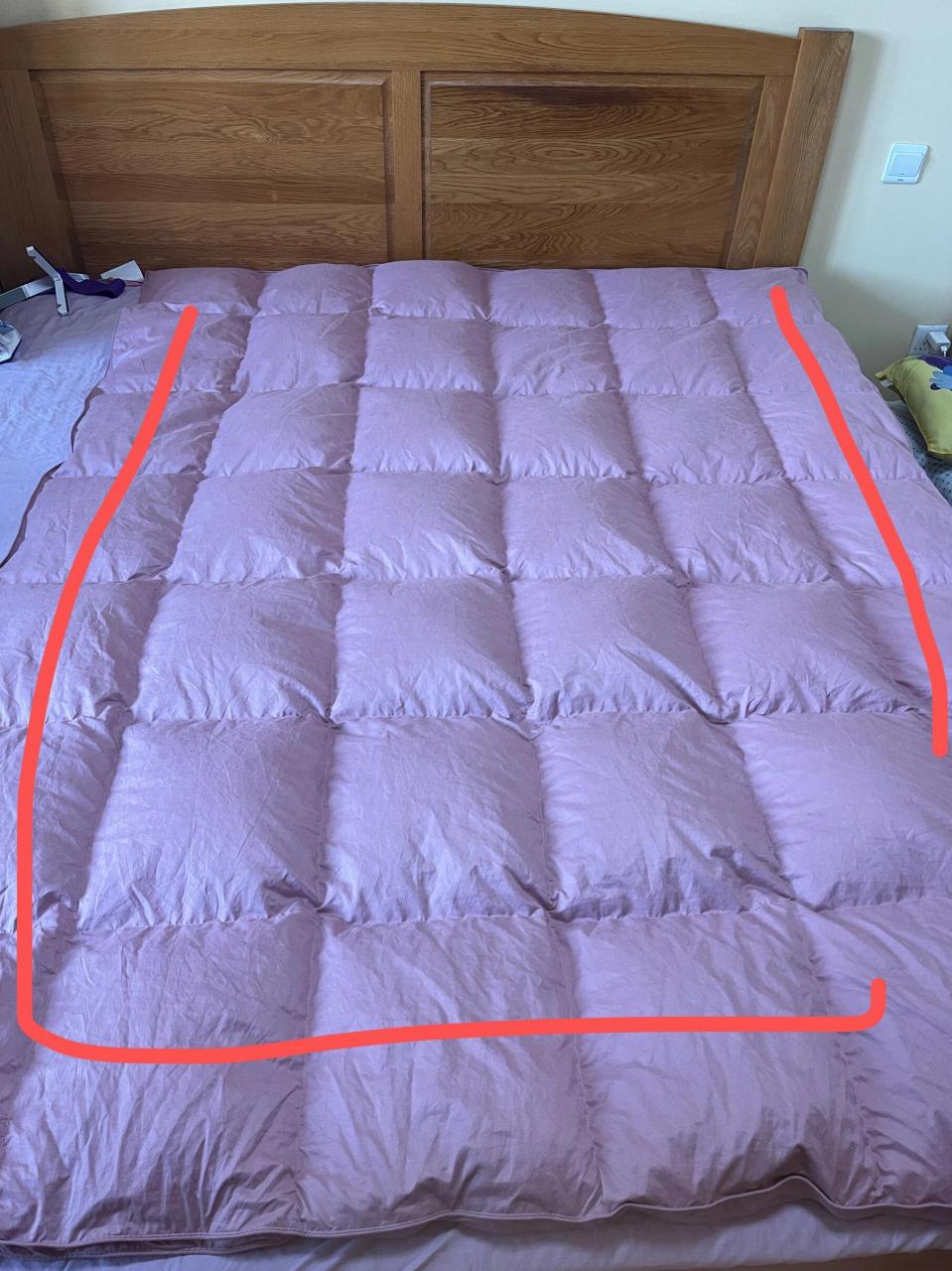 自制单人羽绒被充绒量700g 成本共计490元 糯棉单层被壳160*210 210