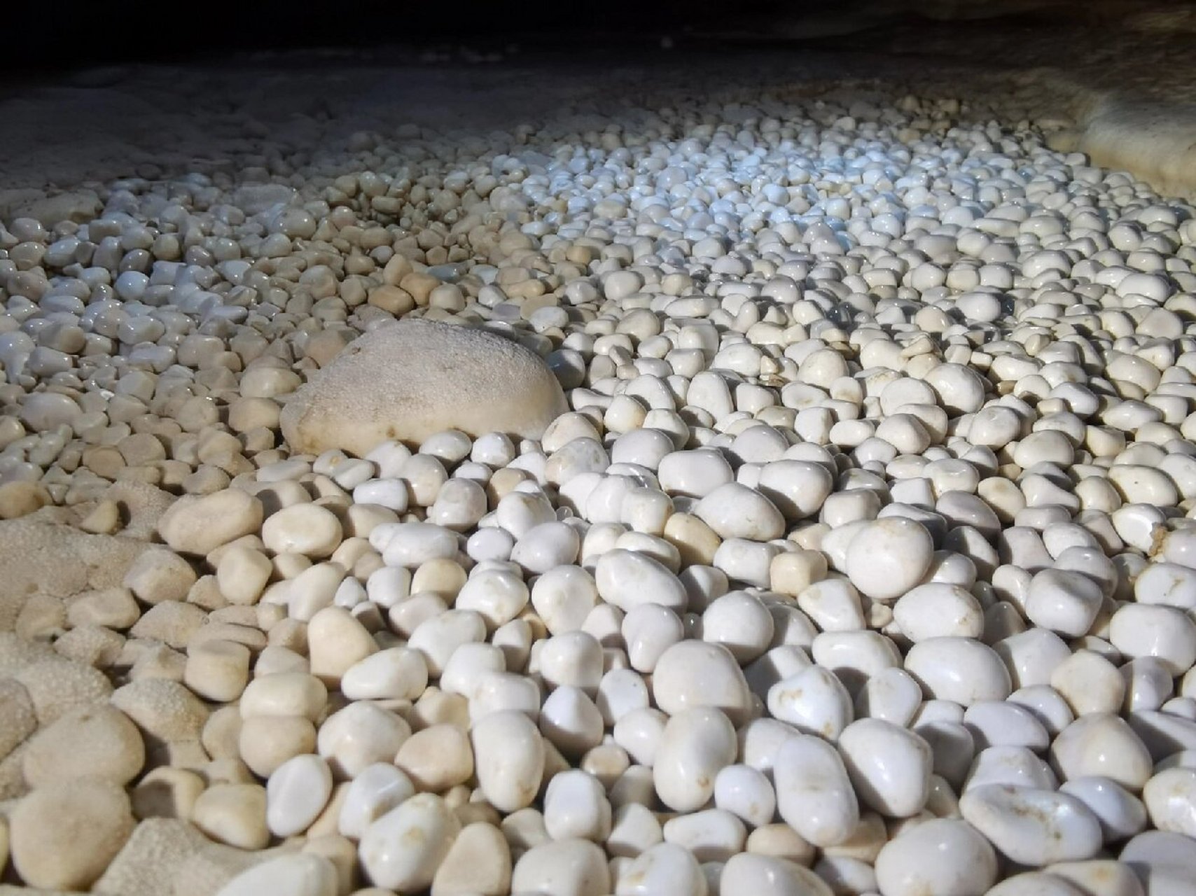 洞穴探险|江洲地下长廊 江洲地下长廊是唯一一个以"长廊"命名的洞穴