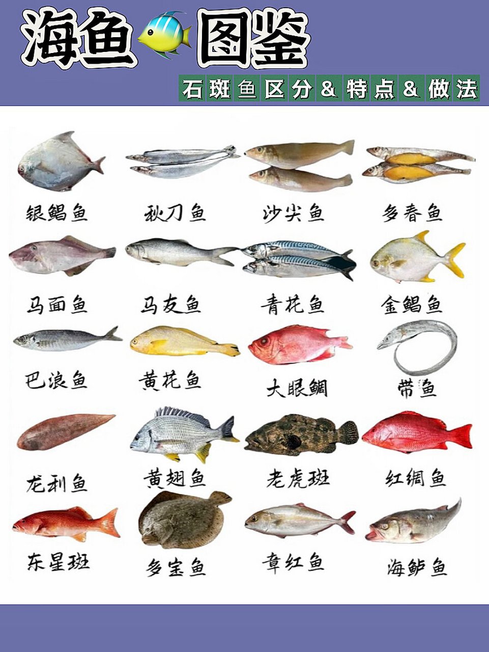 常见的20种海鱼,一次讲清楚|全~码住 我是逸致境,吃了40年海鲜的老