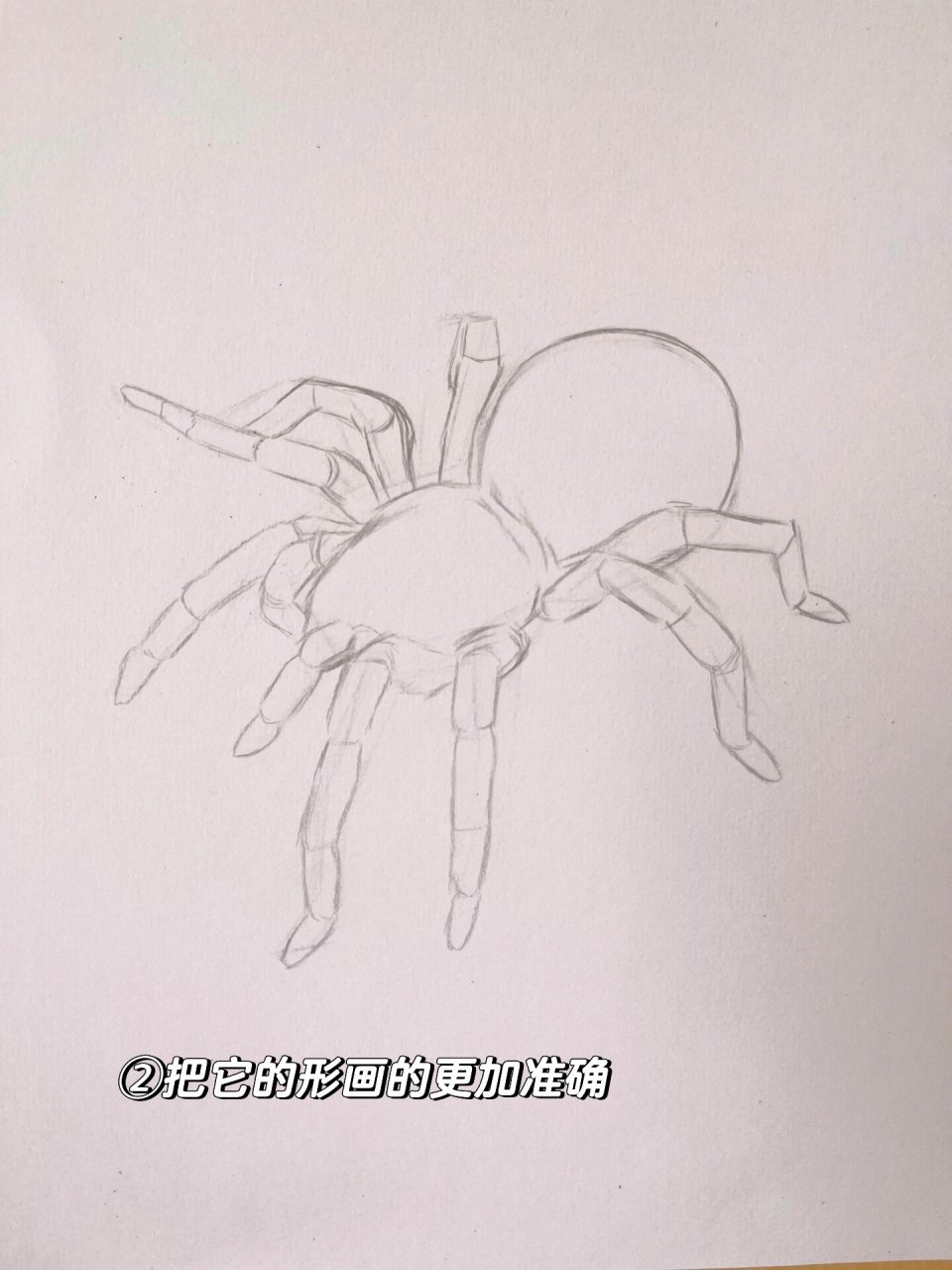 教程 材料:✏️铅笔,📋素描纸,橡皮擦,纸巾 1,先大概定好蜘蛛的