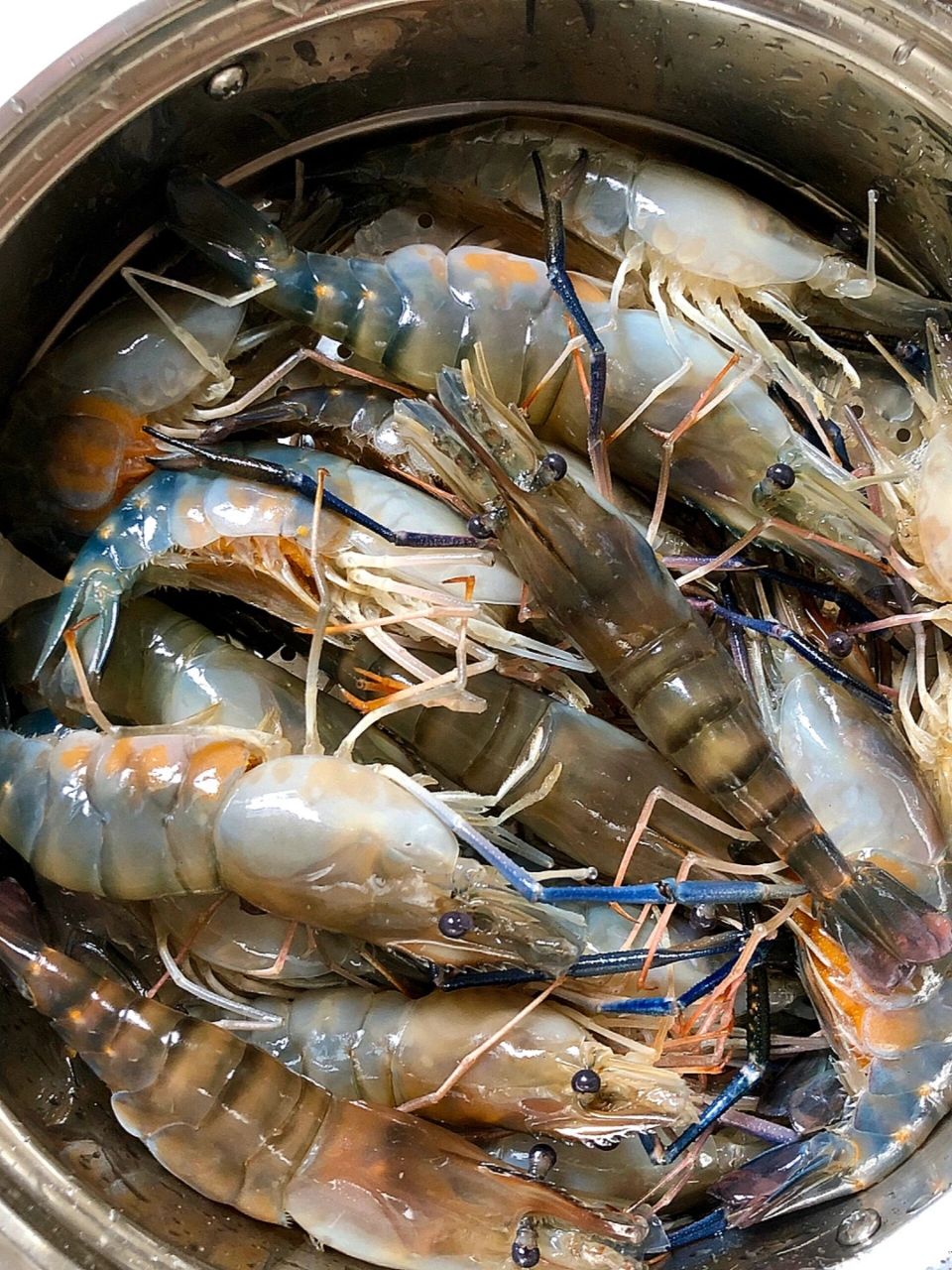 广式清蒸罗氏虾,罗氏虾做法 080808罗氏虾含有丰富的营养价值.