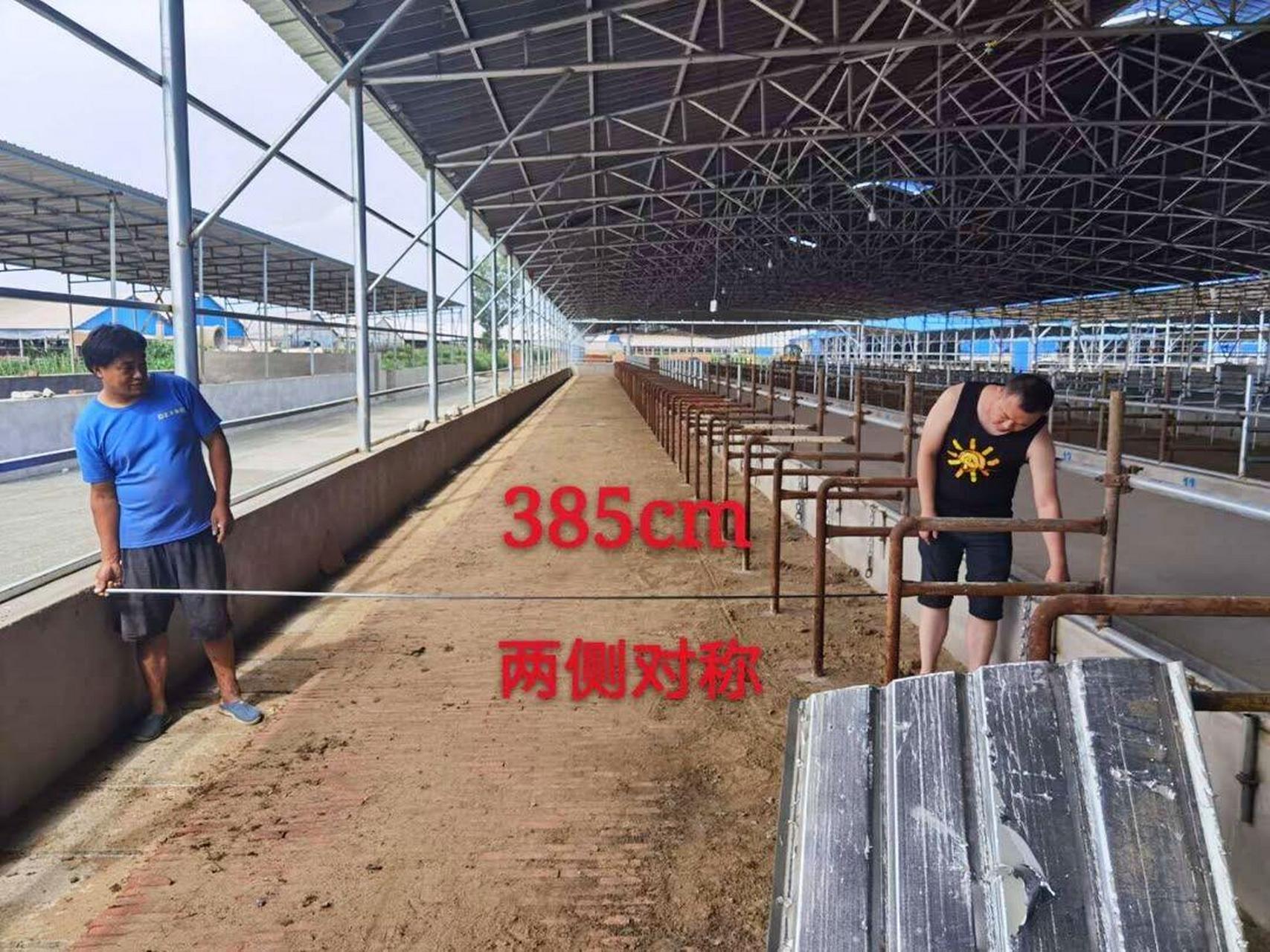 养牛咱得建一个好的牛圈,以下是咱们养了30年牛的老伙计给说的方案,有