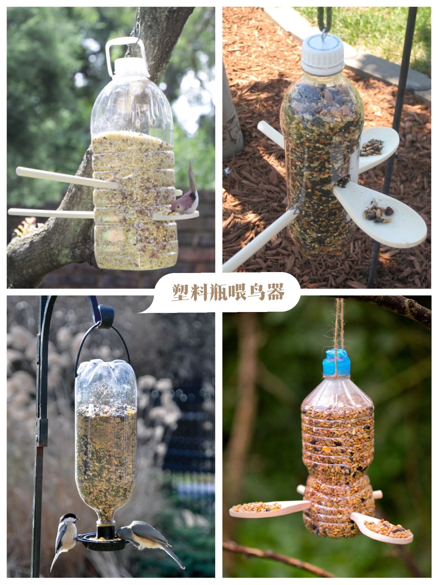 自然观察|几款超简单的自制喂鸟器