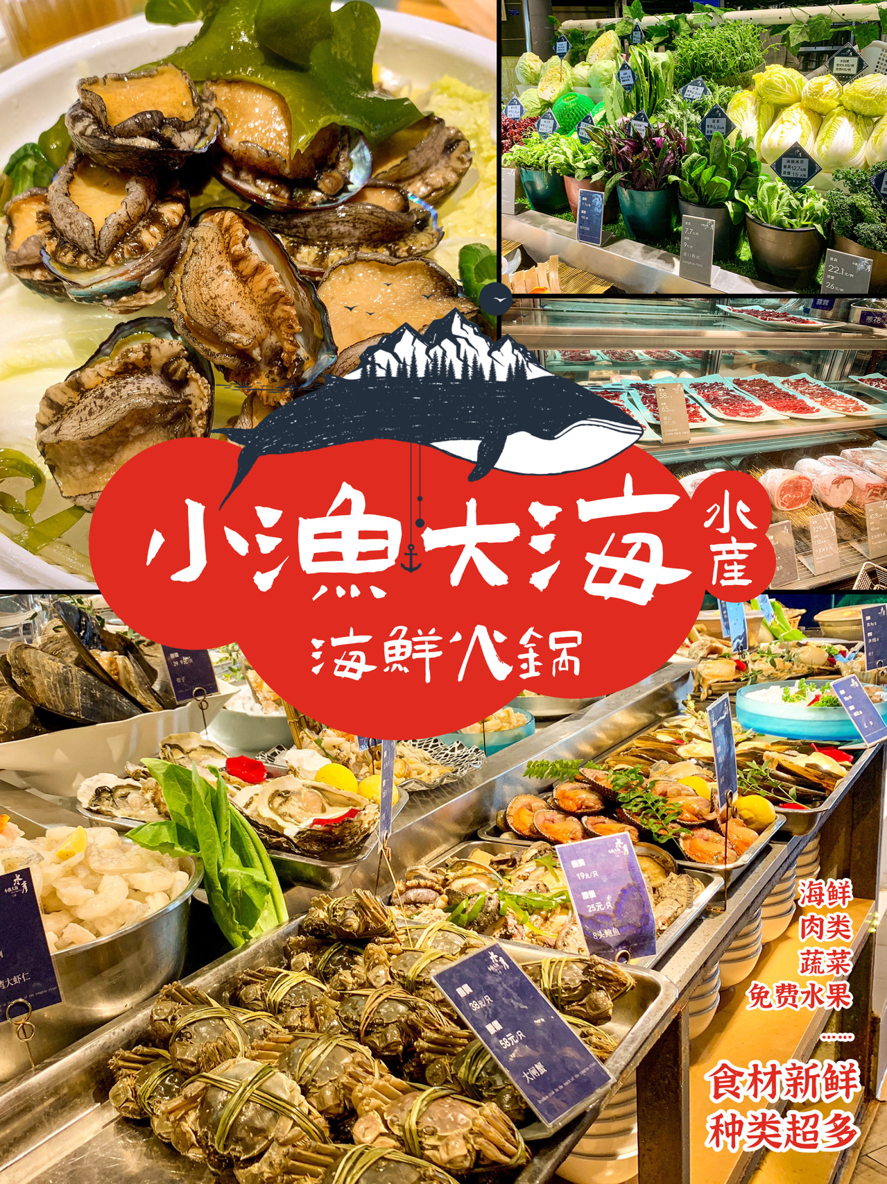 天津探店🥢小渔大海🌊最新鲜海鲜火锅在这‼️