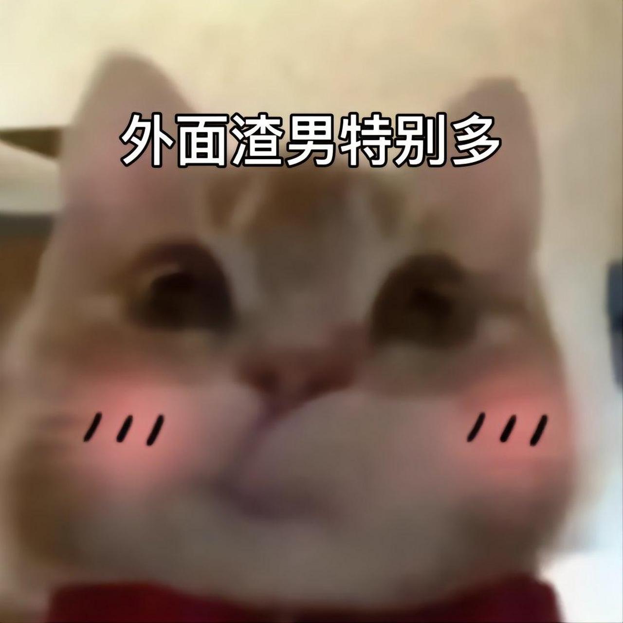 歪嘴小猫