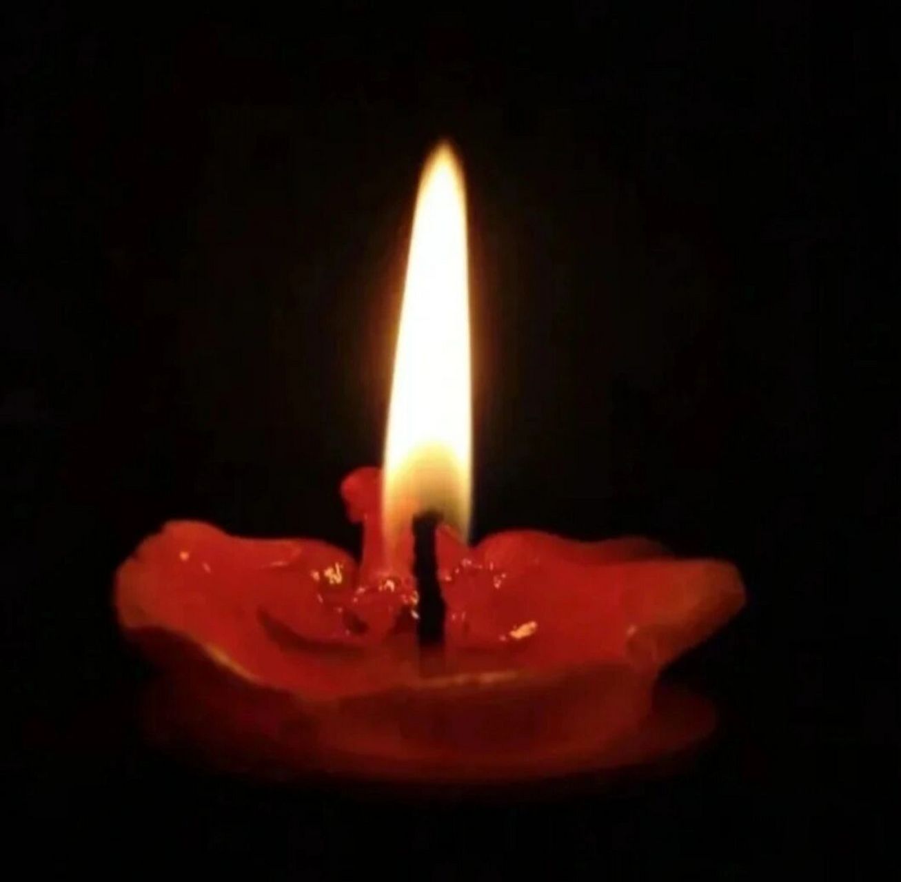 点一盏心灯. 照亮天堂的路, 让天堂的故人不再孤冷.