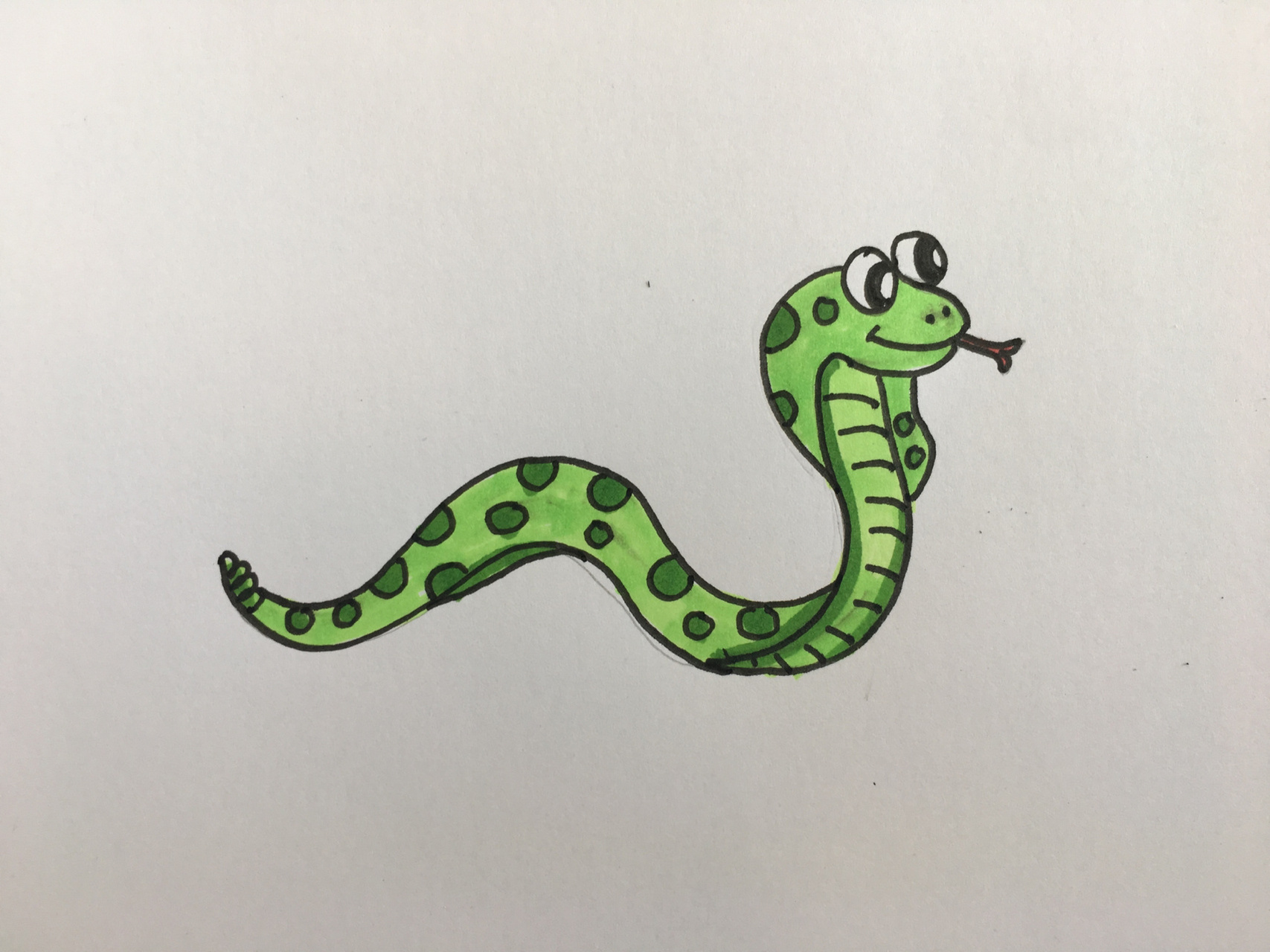 简笔画蛇可爱动物图片