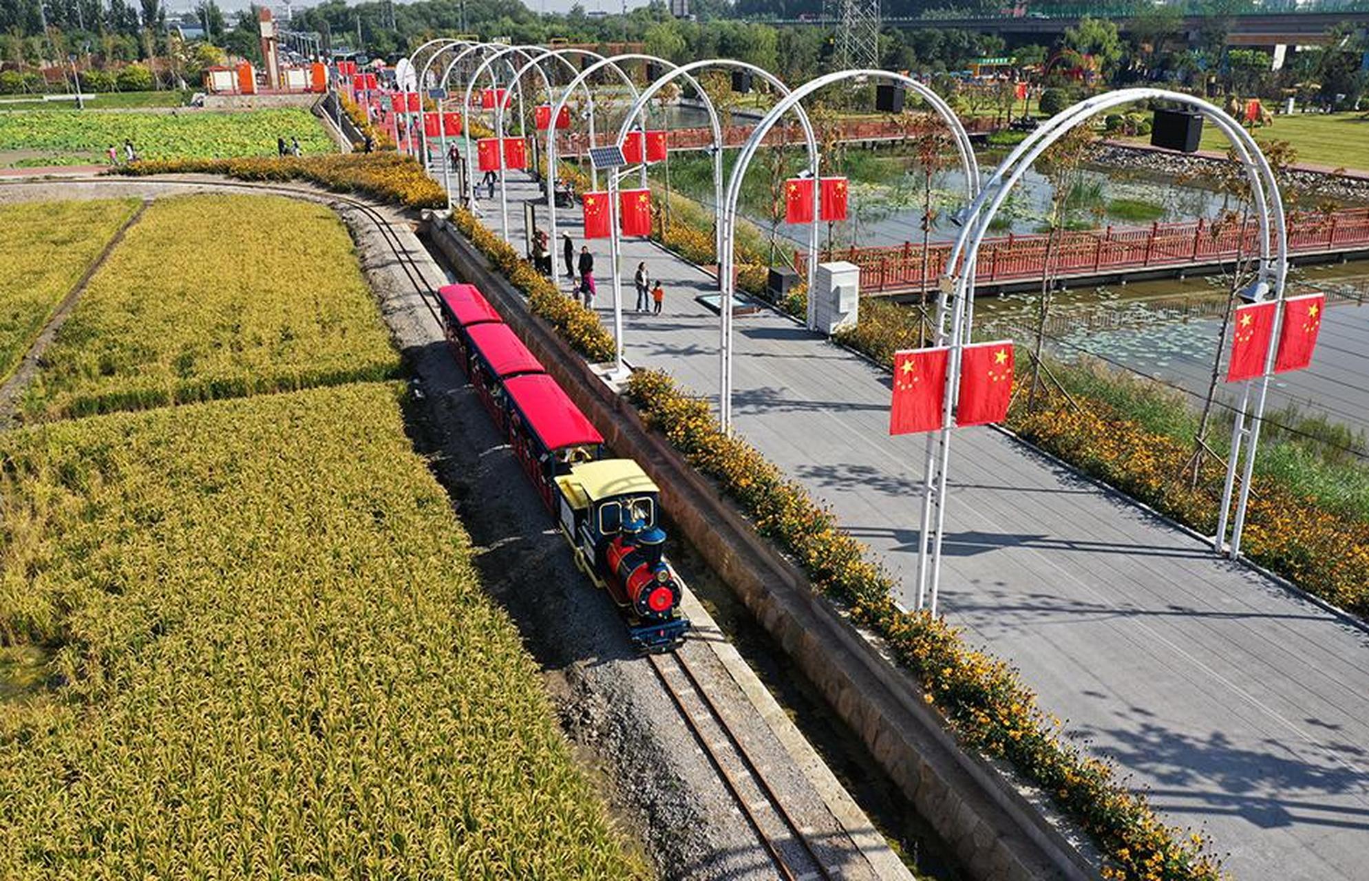 9月25日,太原市晋源区花塔村稻田公园,国旗飘扬