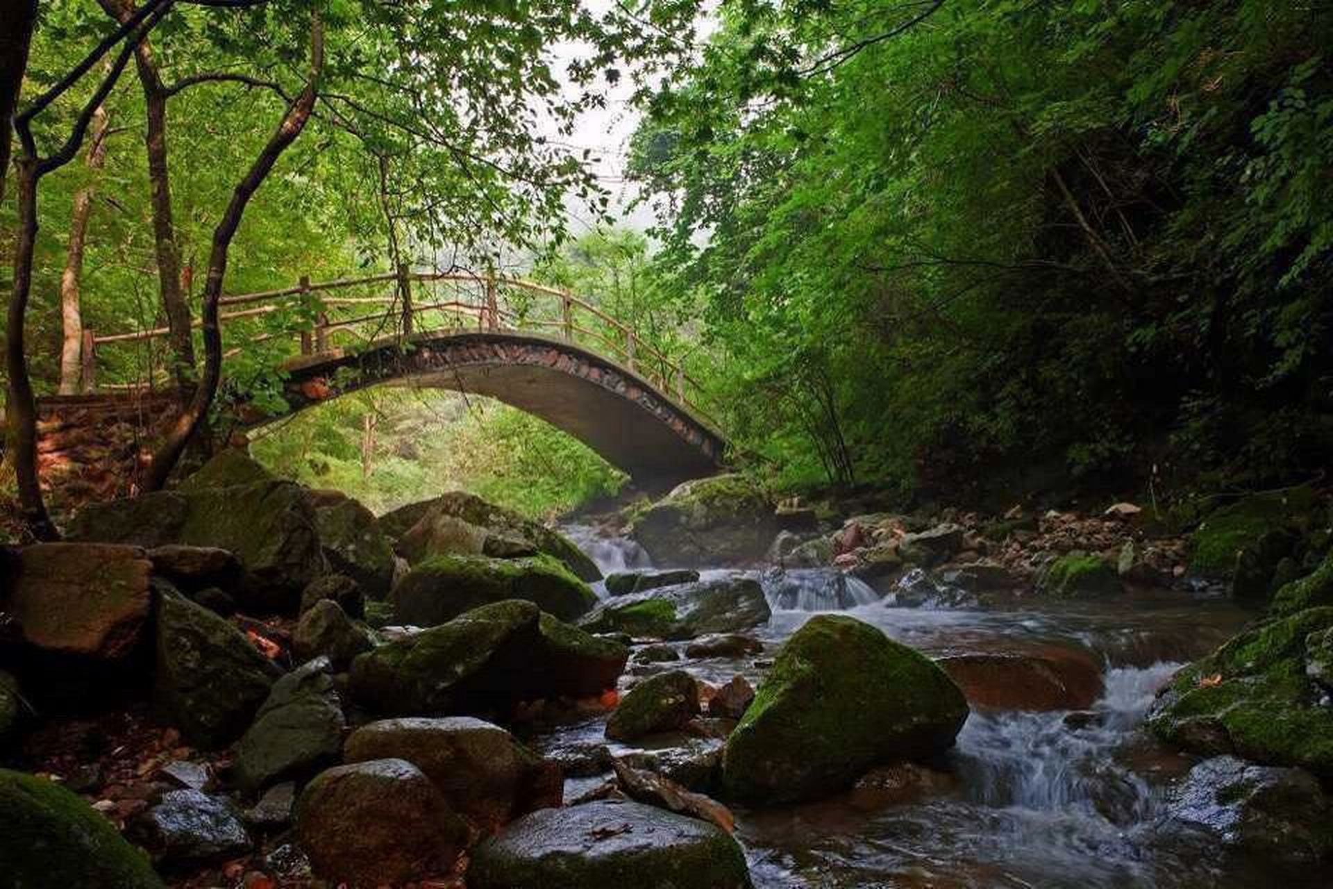 本溪绿石谷一日游  94本溪绿石谷—国家森林公园 16615单订票