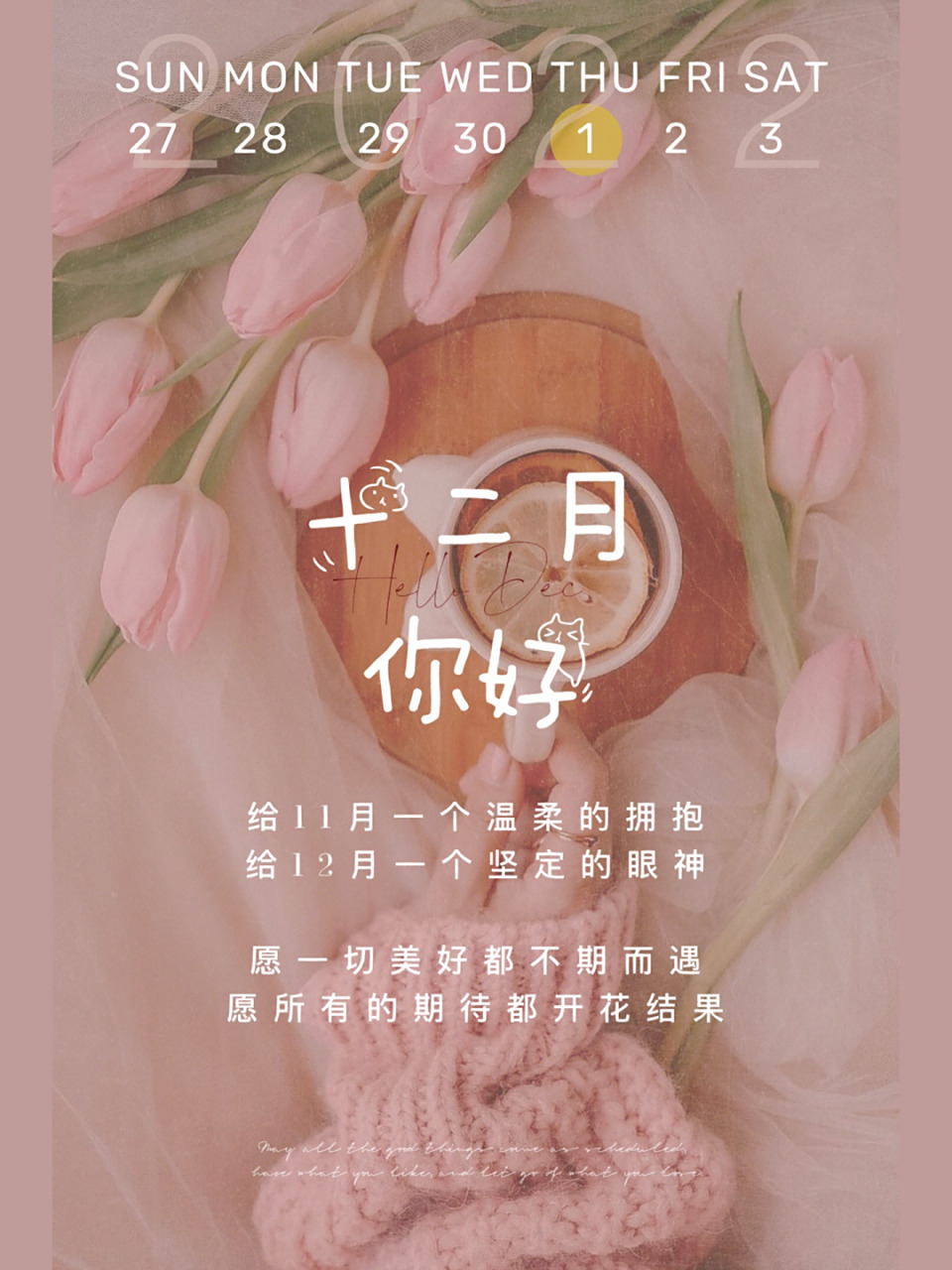 12月你好图片 | 12月你好文案 | 11月再见 | #浪漫生活的记录者