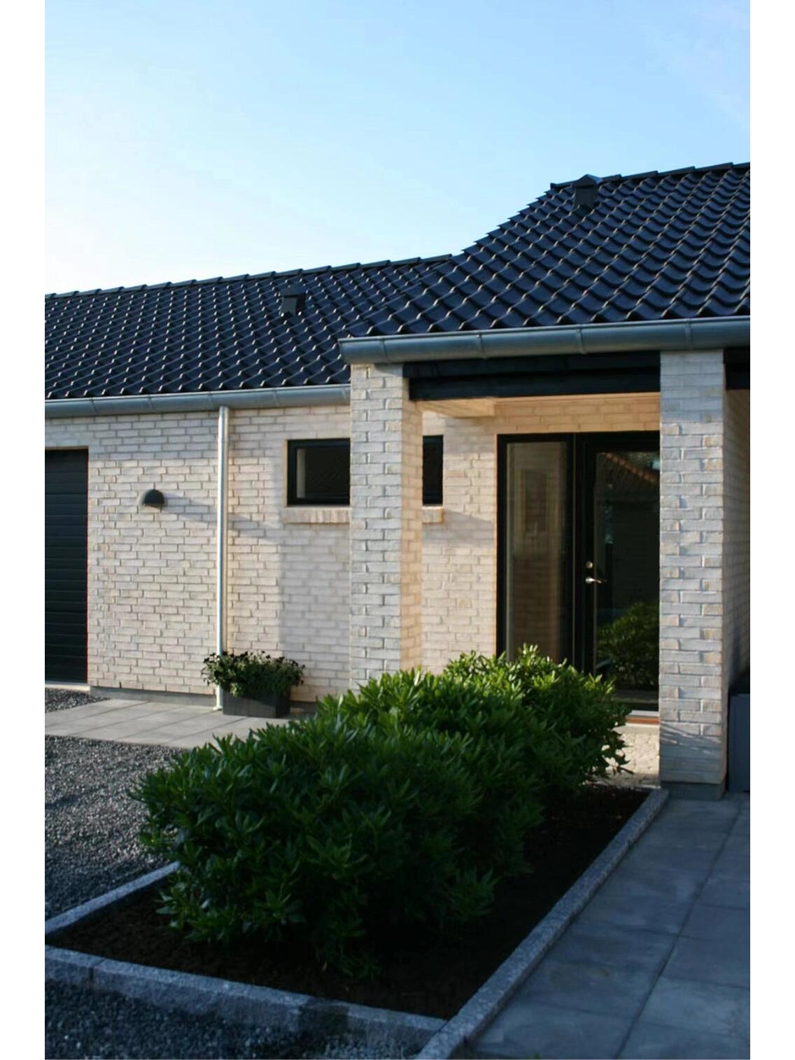 一层坡屋顶自建房简约耐看