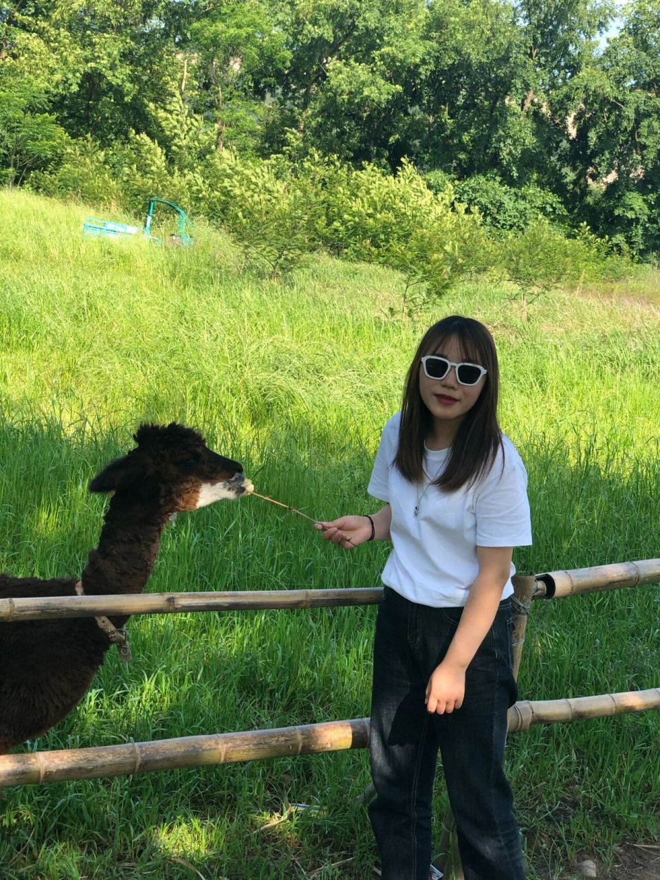 丽水|九龙湿地公园91 丽水 | 九龙湿地公园 90: 全天开放 99