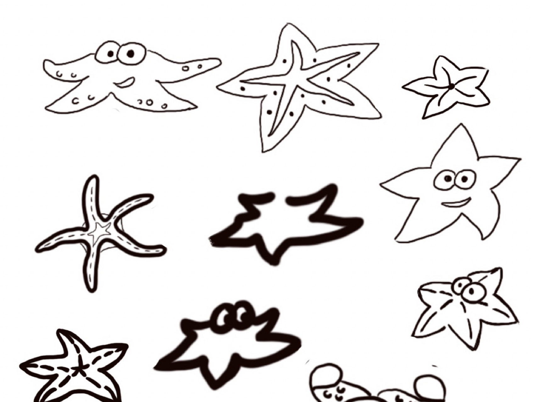 黑白简笔画—海星 —简笔画练习 —知识普及:海星广泛分布于砂质海底