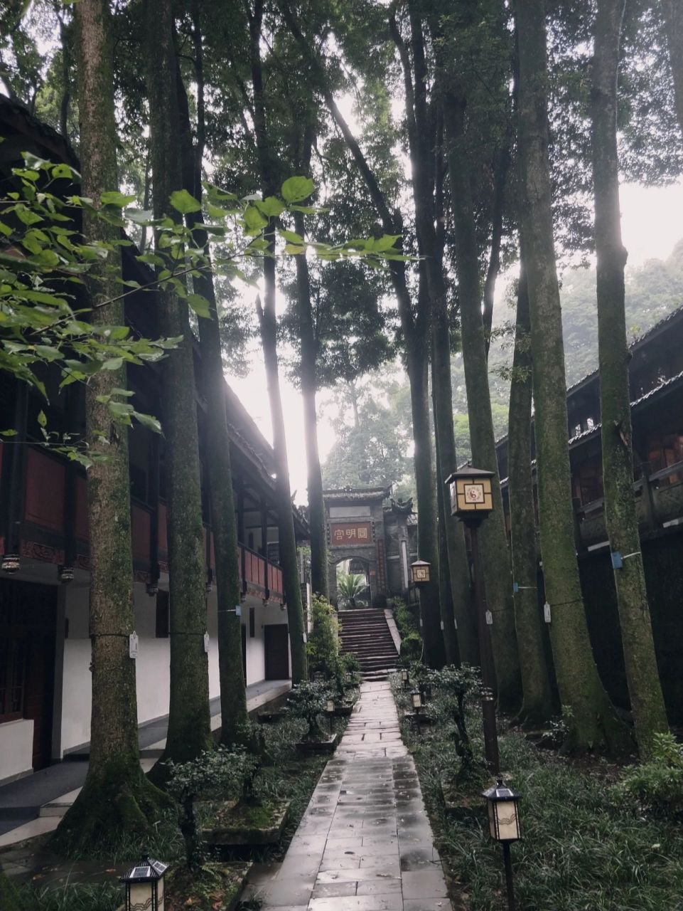 青城山有三个道观提供住宿:圆明宫,上清宫,天师洞.