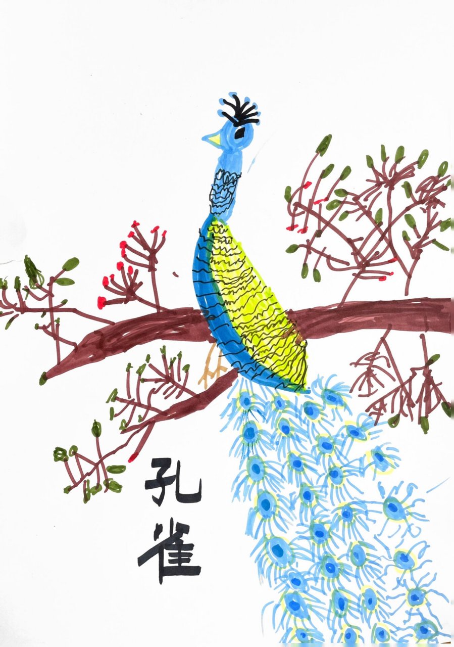 《树上的孔雀》大班小朋友作品 5.5-6岁班级,80分钟完成.