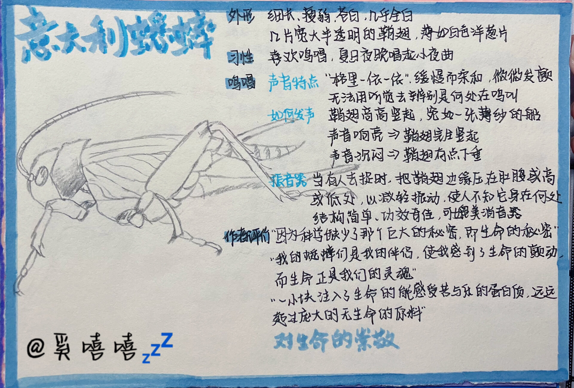 《昆虫记》昆虫知识小卡片(下)