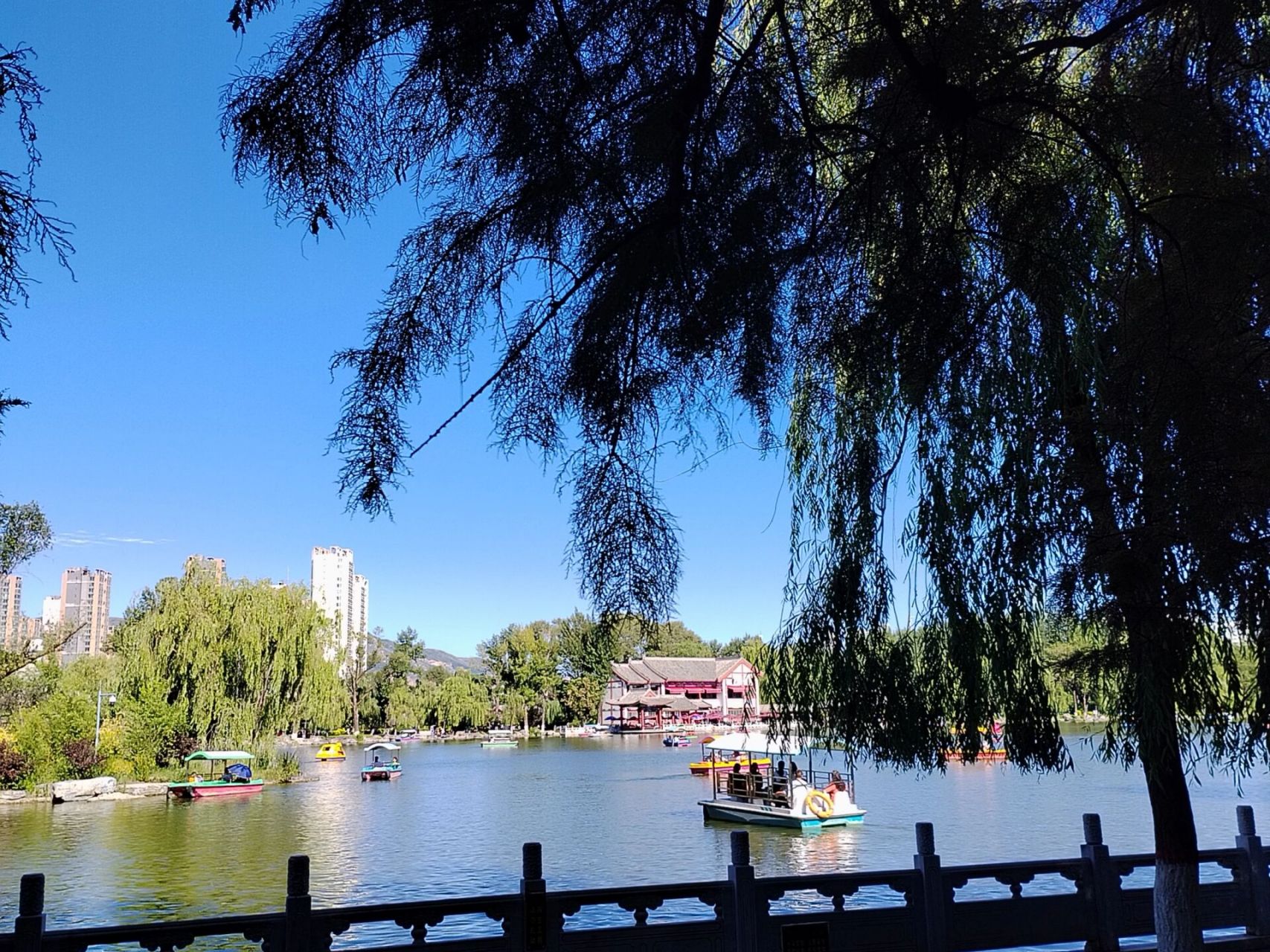 西宁夏天的人民公园94 78风景优美,景色宜人,微风拂面,和家人乘船