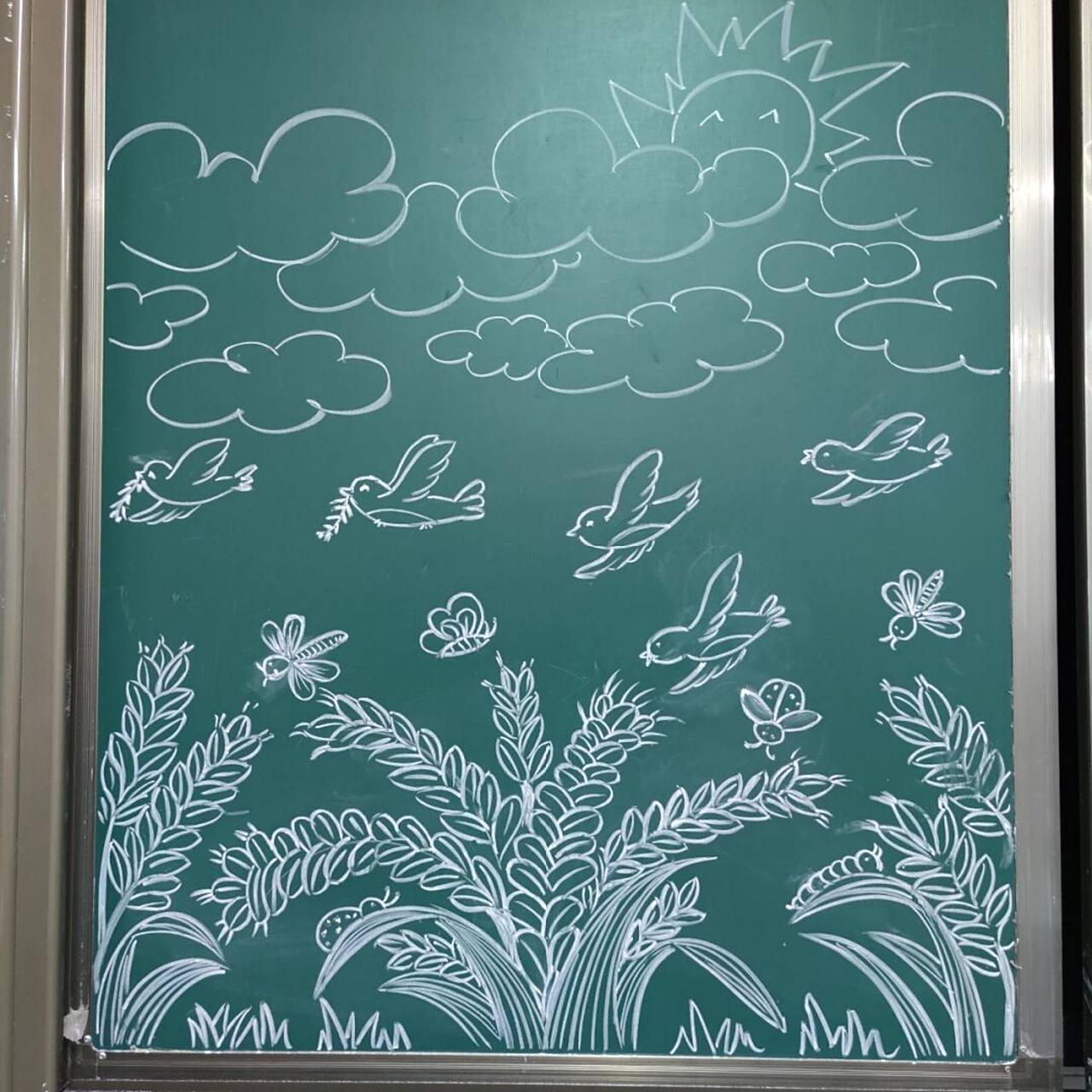 儿童简笔画|黑板粉笔画|24节气绘画|小满| #小学美术老师# #画个简笔