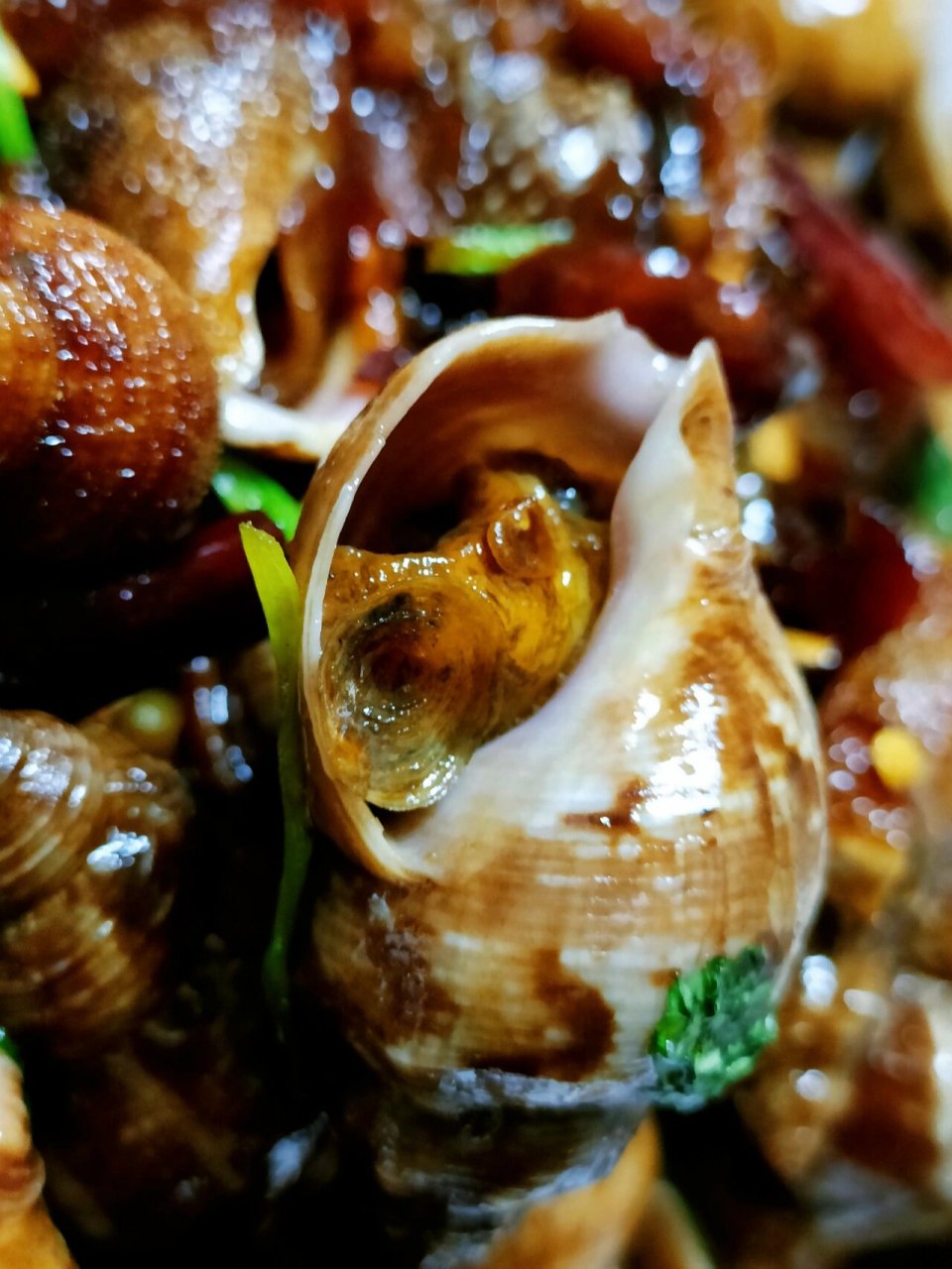 辣炒香螺 这个香螺好像是个季节性的东西,反正我个人是很喜欢吃的