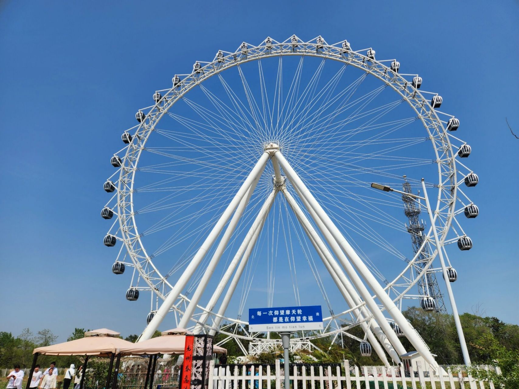 日照海滨国家森林公园 98  炎炎夏日 98  还有比奔赴海滨城市更好