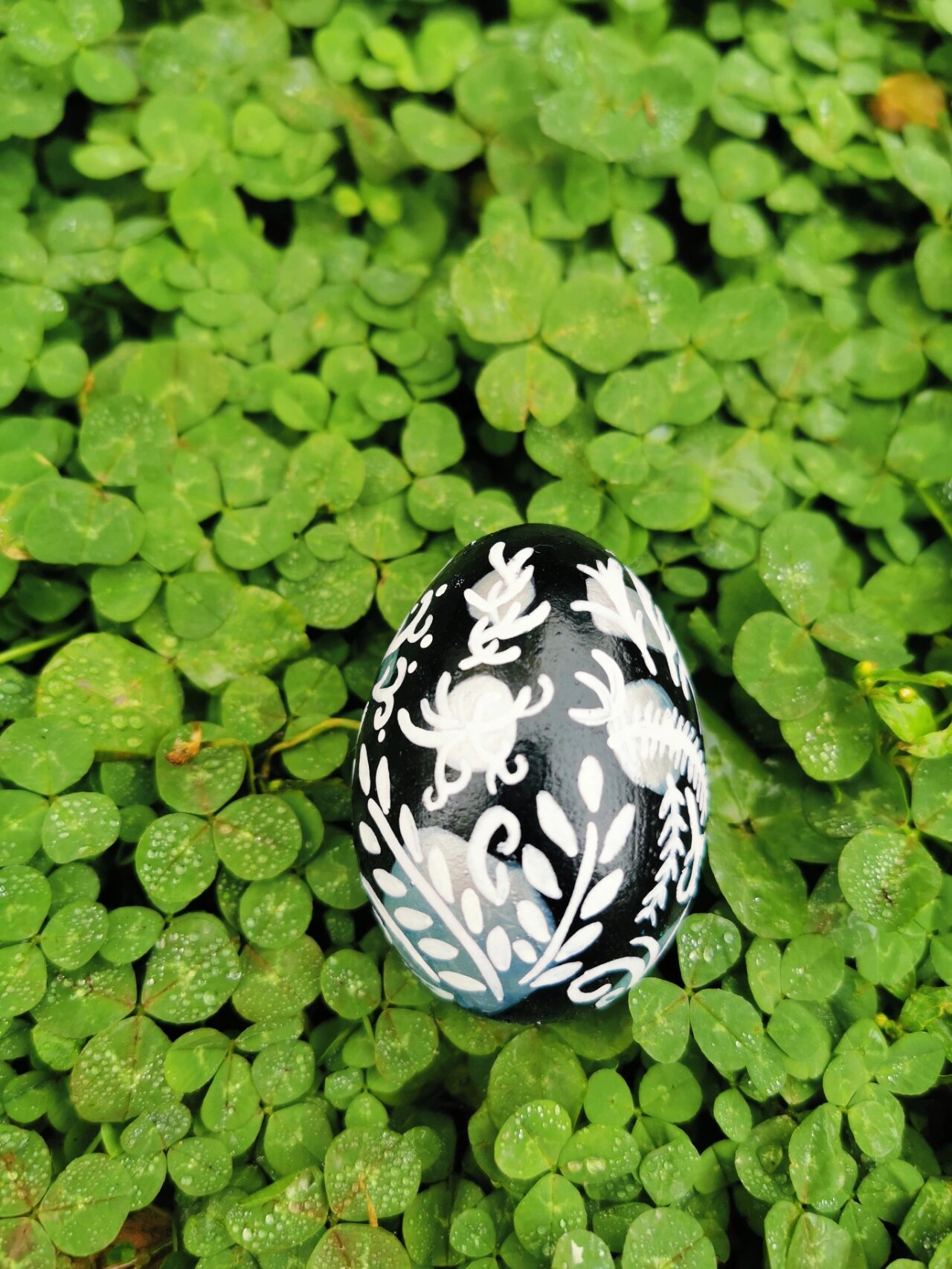 创意手绘丨鸡蛋壳壳