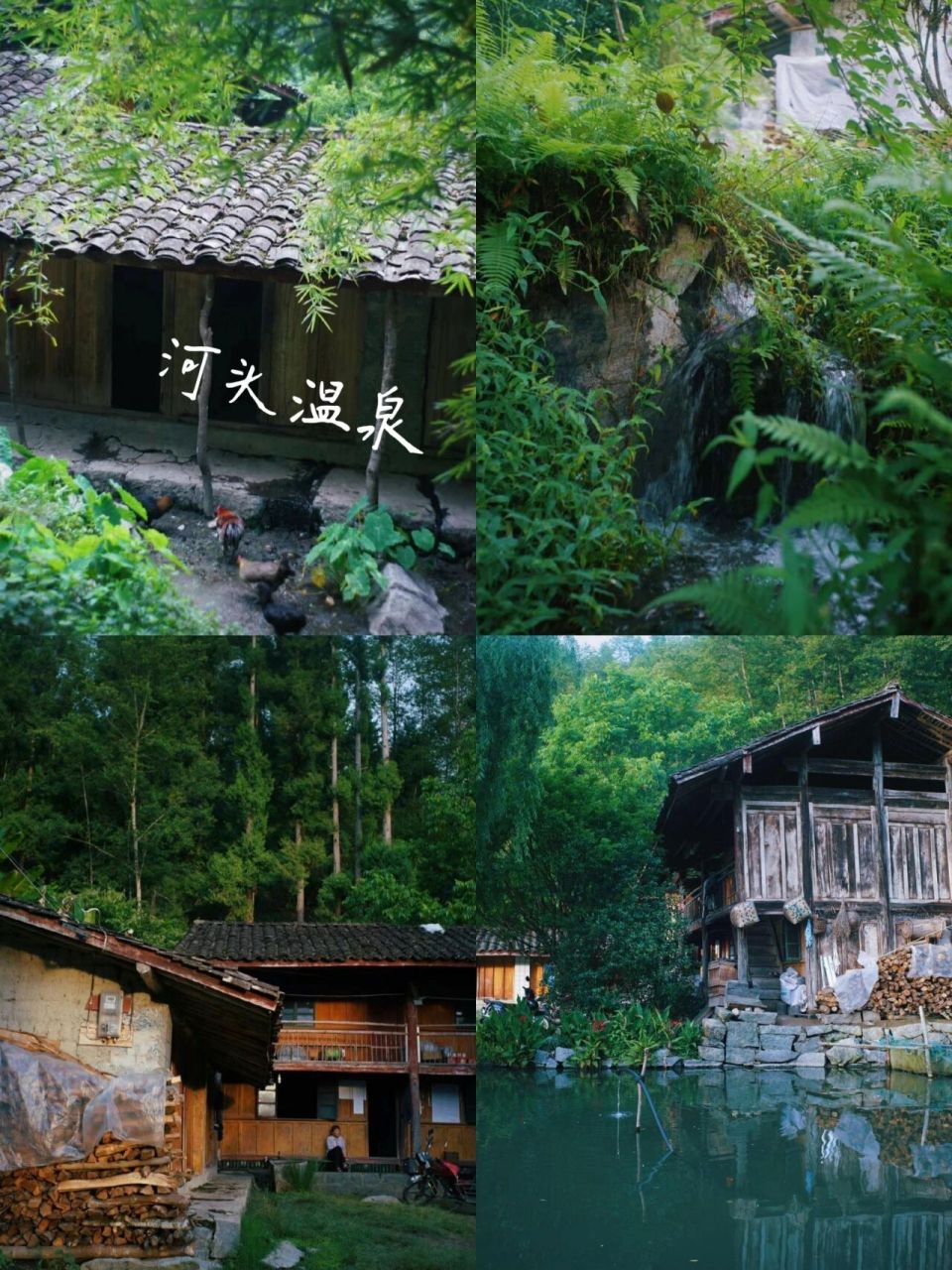 分享腾冲十个最野的温泉|寻找野温泉no.