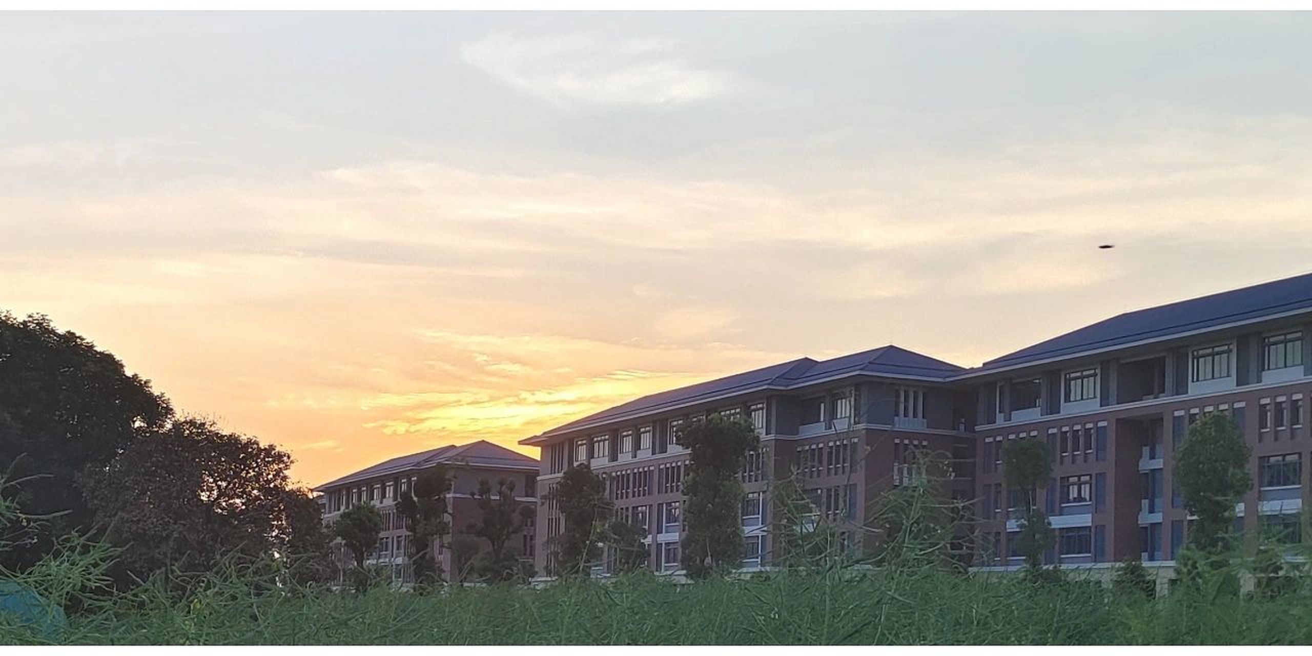 中山大学新华学院 广州新华学院(原中山大学新华学院)国际学院本科