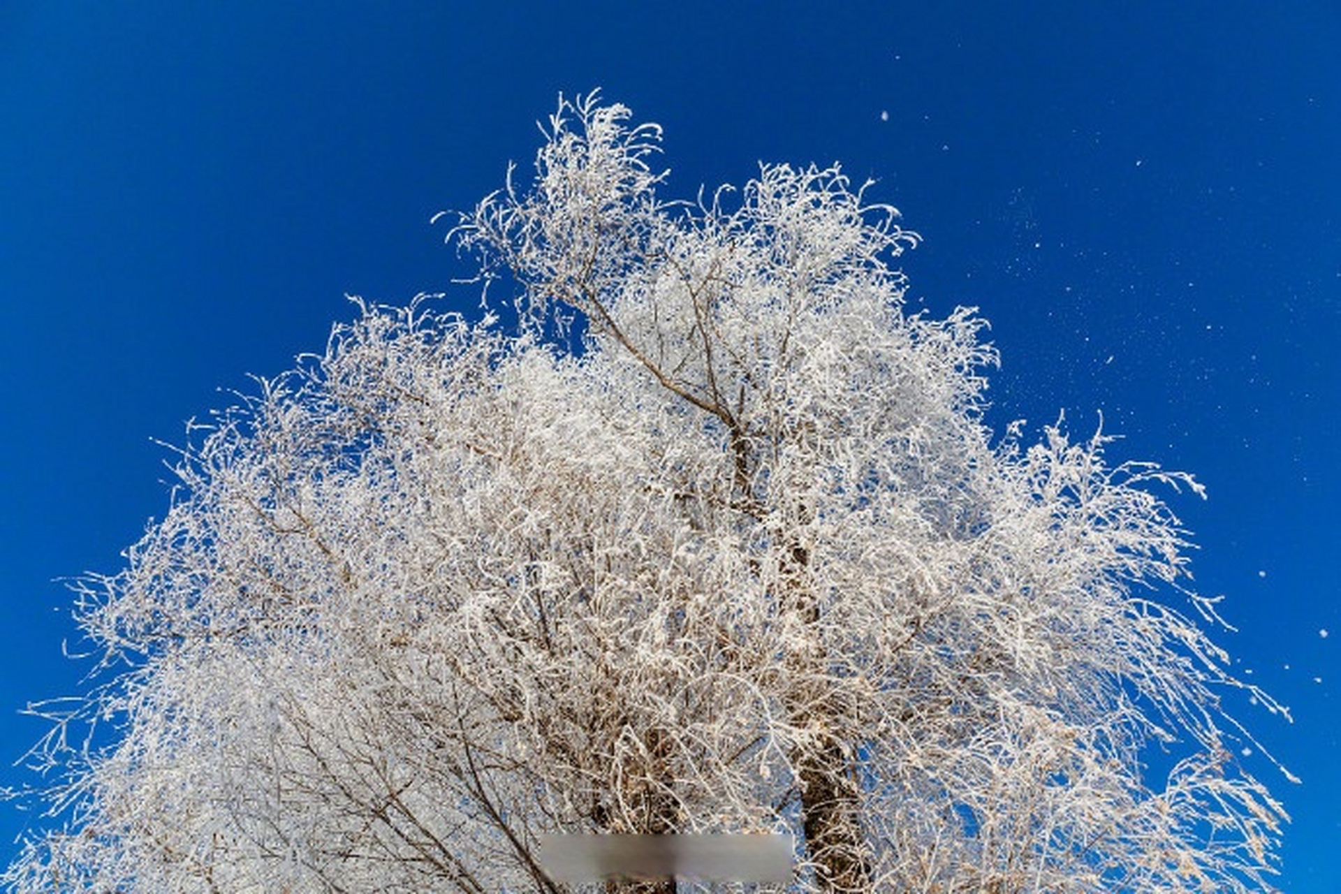 长白天下雪#【是冬天呀!