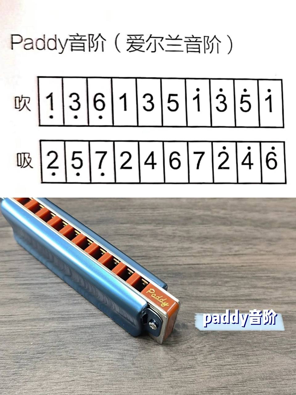 布鲁斯口琴paddy是什么? 98老是听说的布鲁斯paddy是什么?