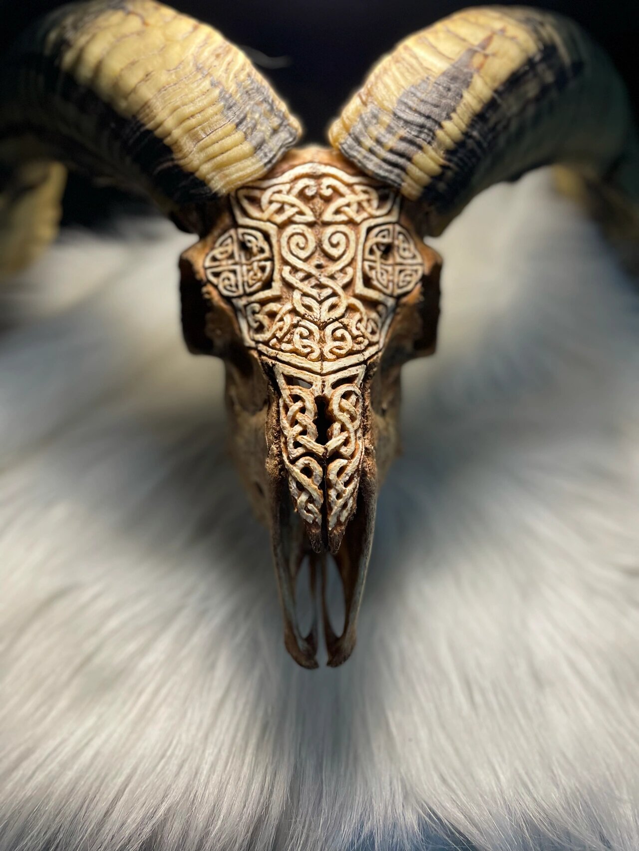 藏羊头骨雕,艺术挂件