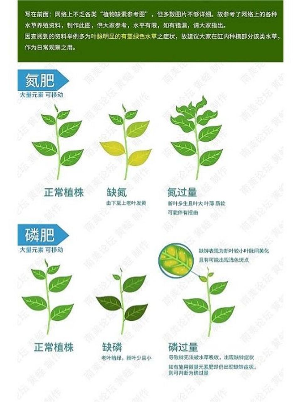 水草缺肥和肥力过剩的图鉴 补充水草液肥是好事,但是天天加也会过剩
