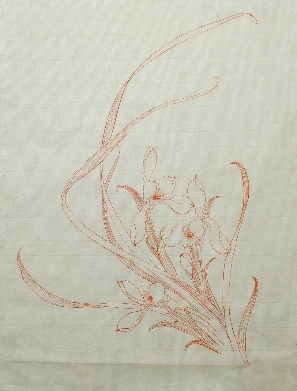 每日一练|白描花卉～兰花