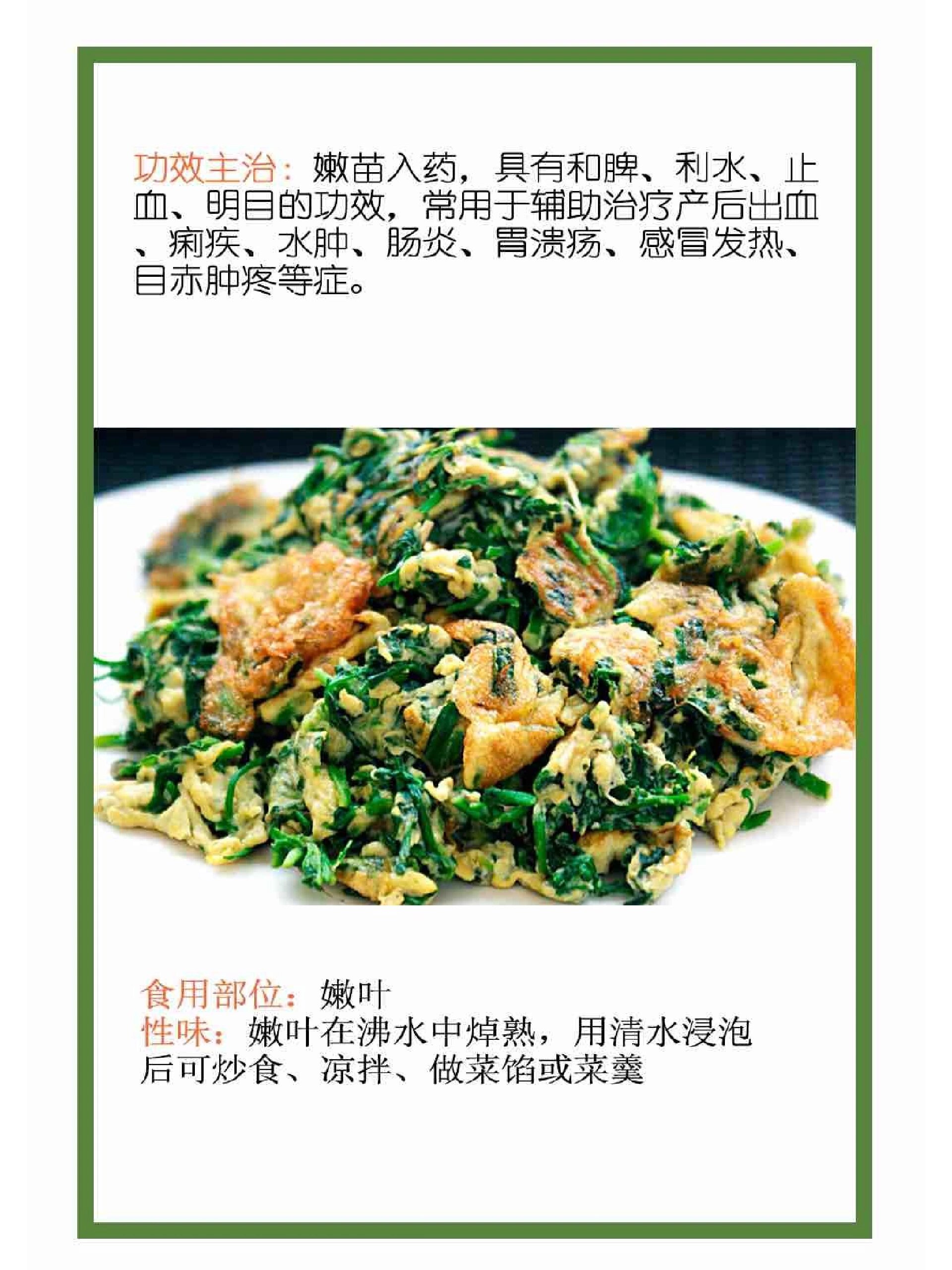 每天认识一种野菜-荠菜