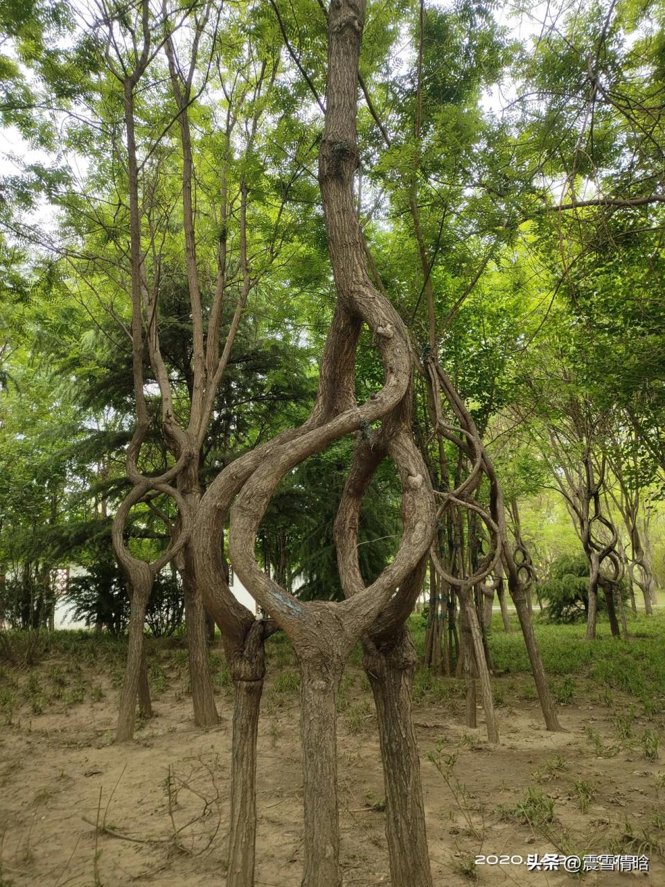 安平漢王公園