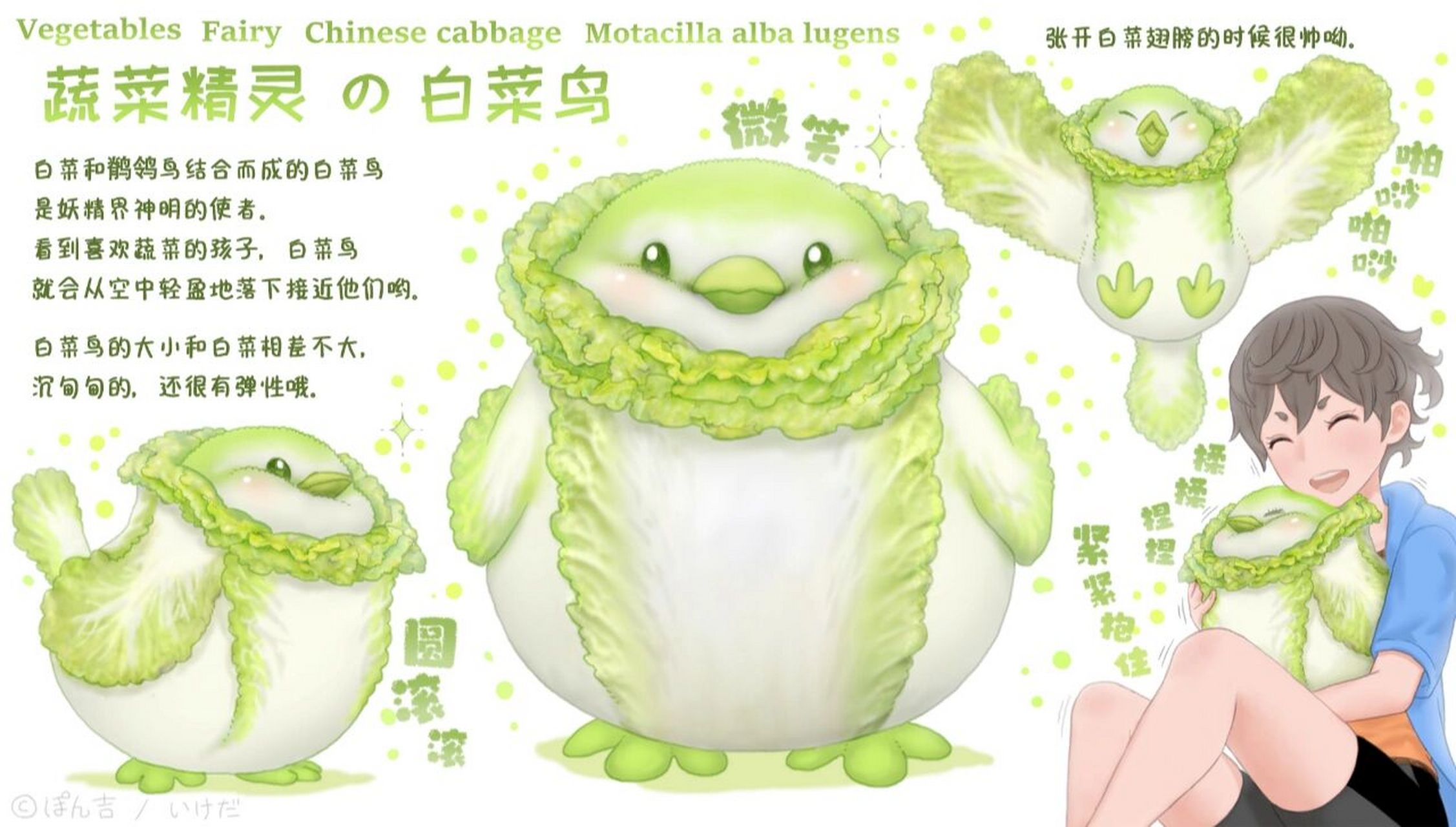 【蔬菜动物精灵】白菜鸟 白菜中95%的成分都是水,因此含有的食物热量